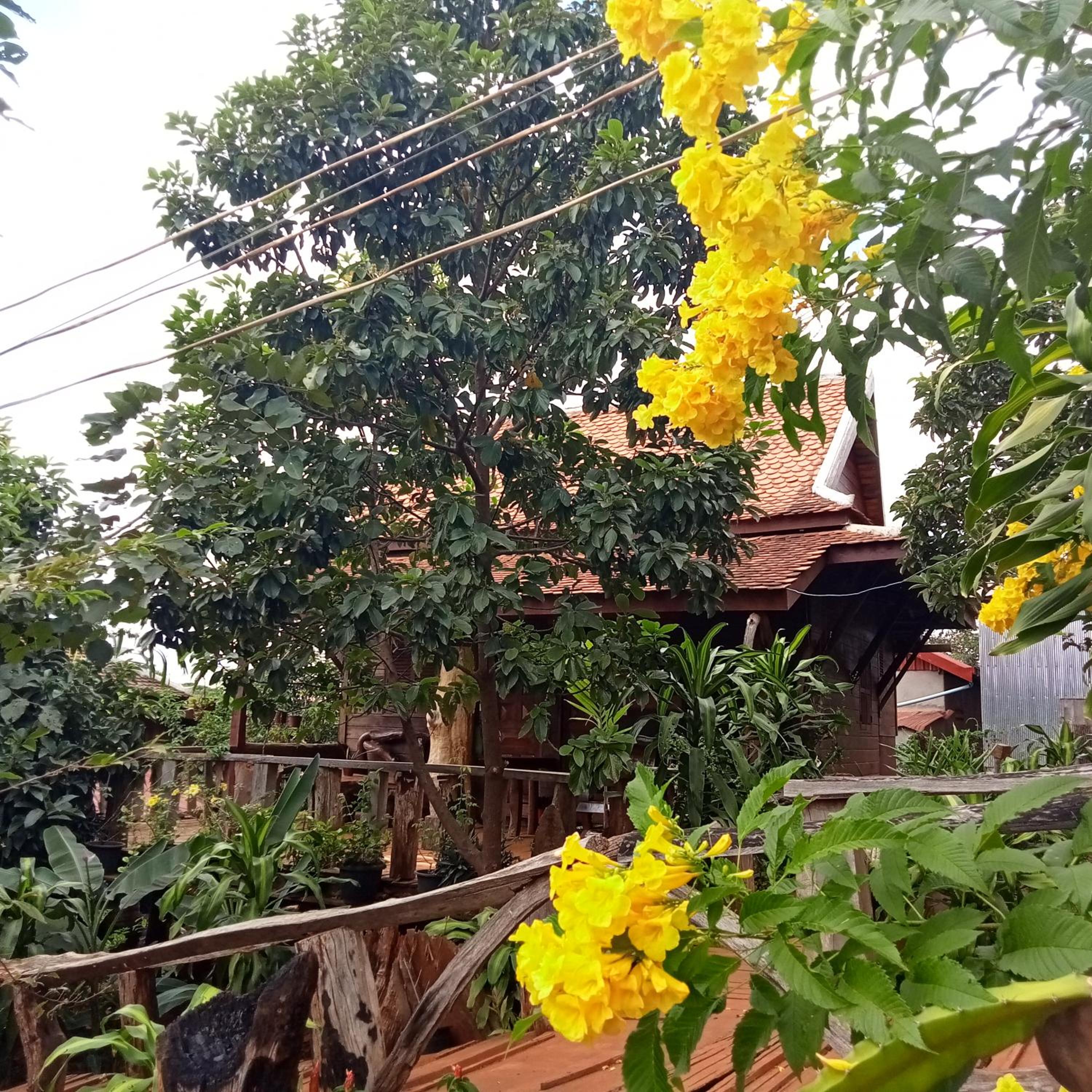 Ratanak Tep Rithea homestay view 2