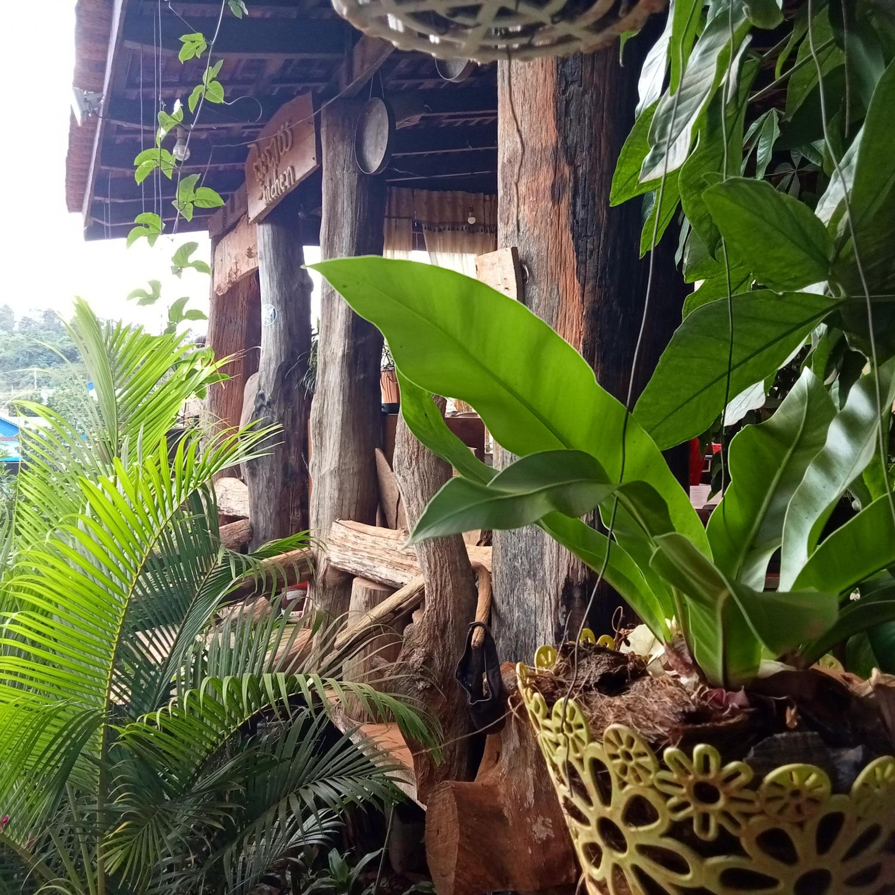 Ratanak Tep Rithea homestay view 5