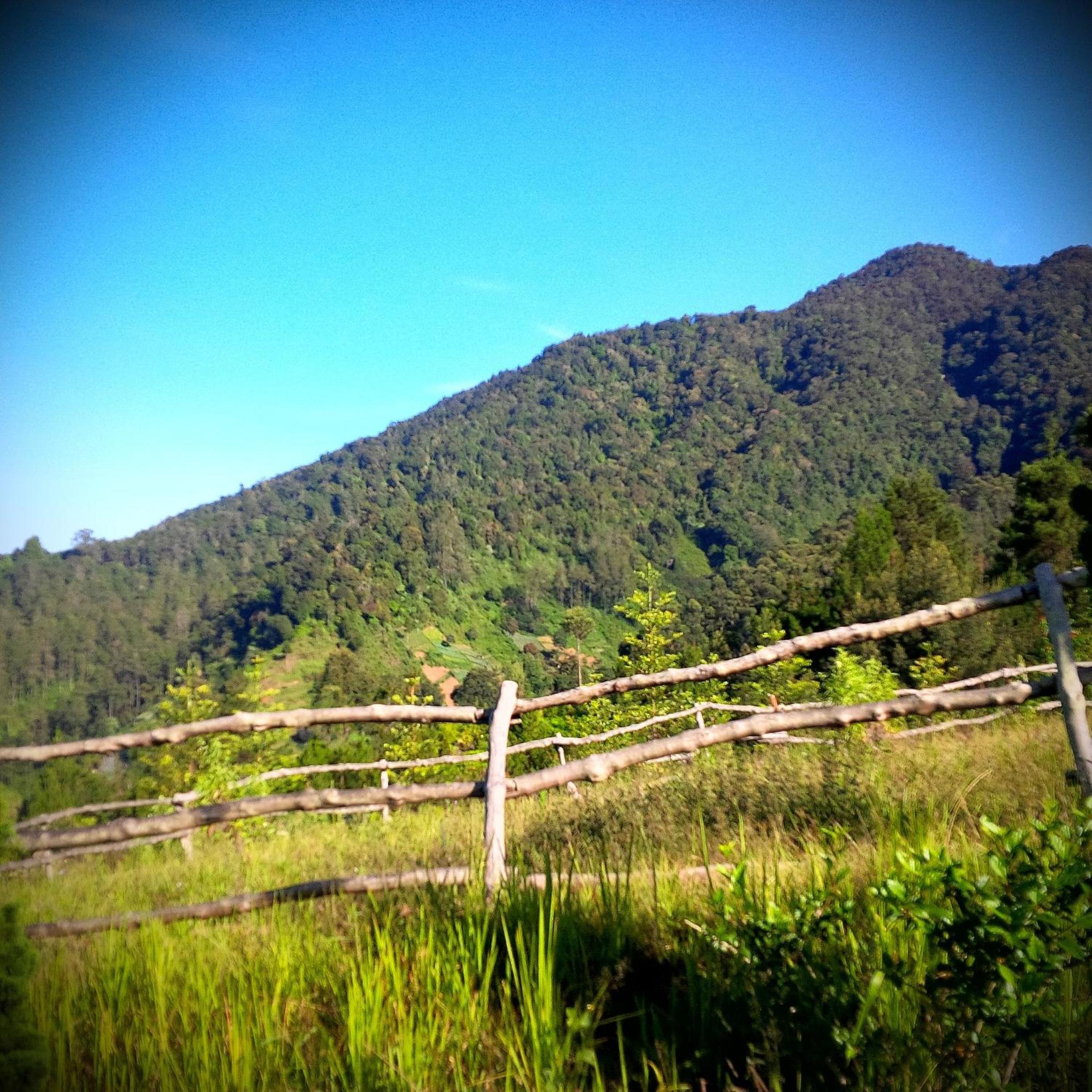 Villa Bougenvile Lembang Asri, Lembang - 19