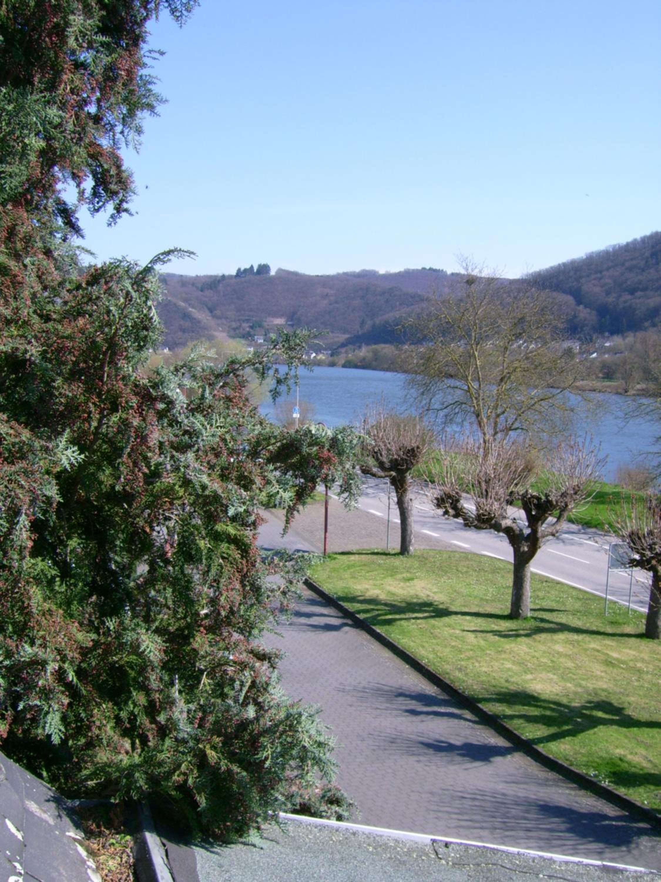 Gasthaus Zur Traube