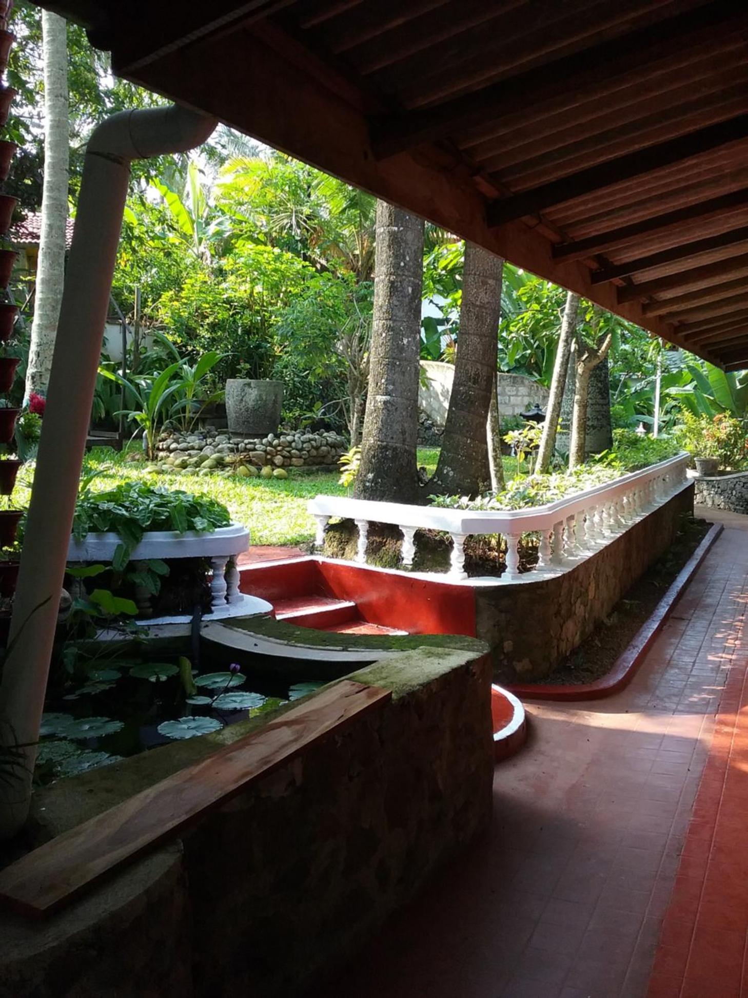 Photo 43