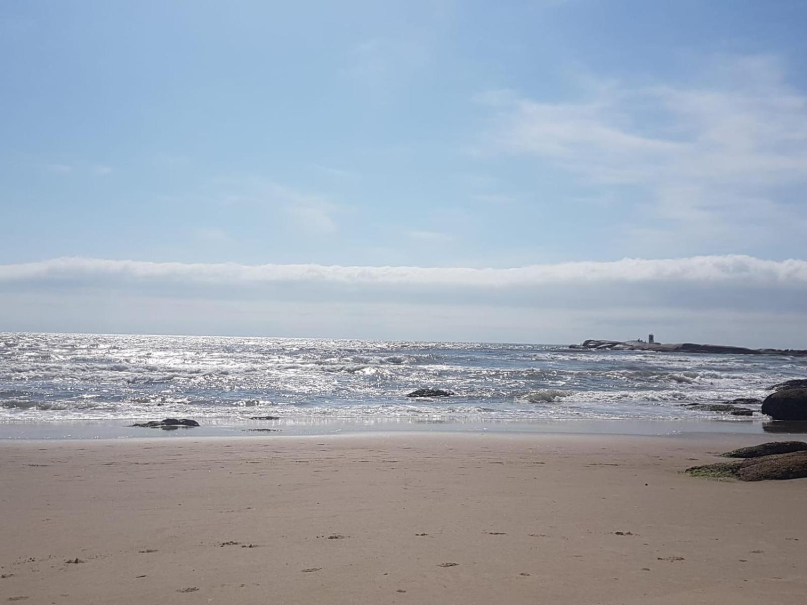 Ocean Paradise 1 view 5