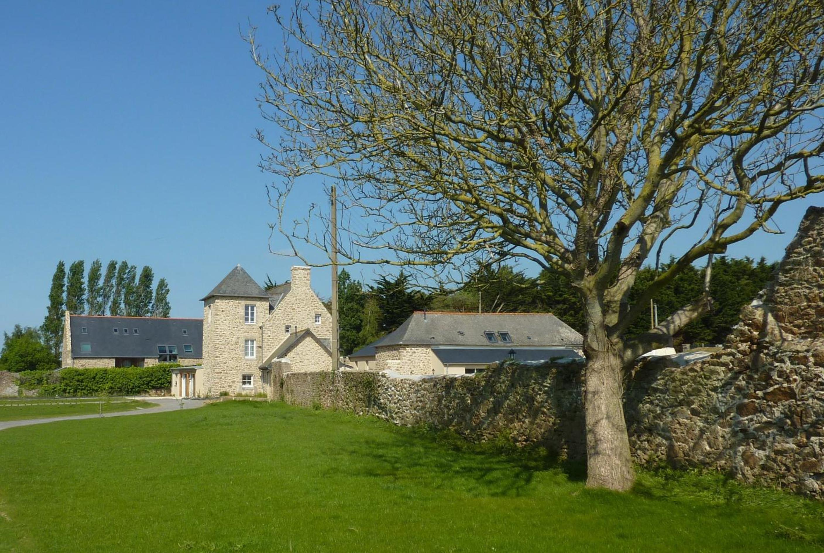 Photo 11