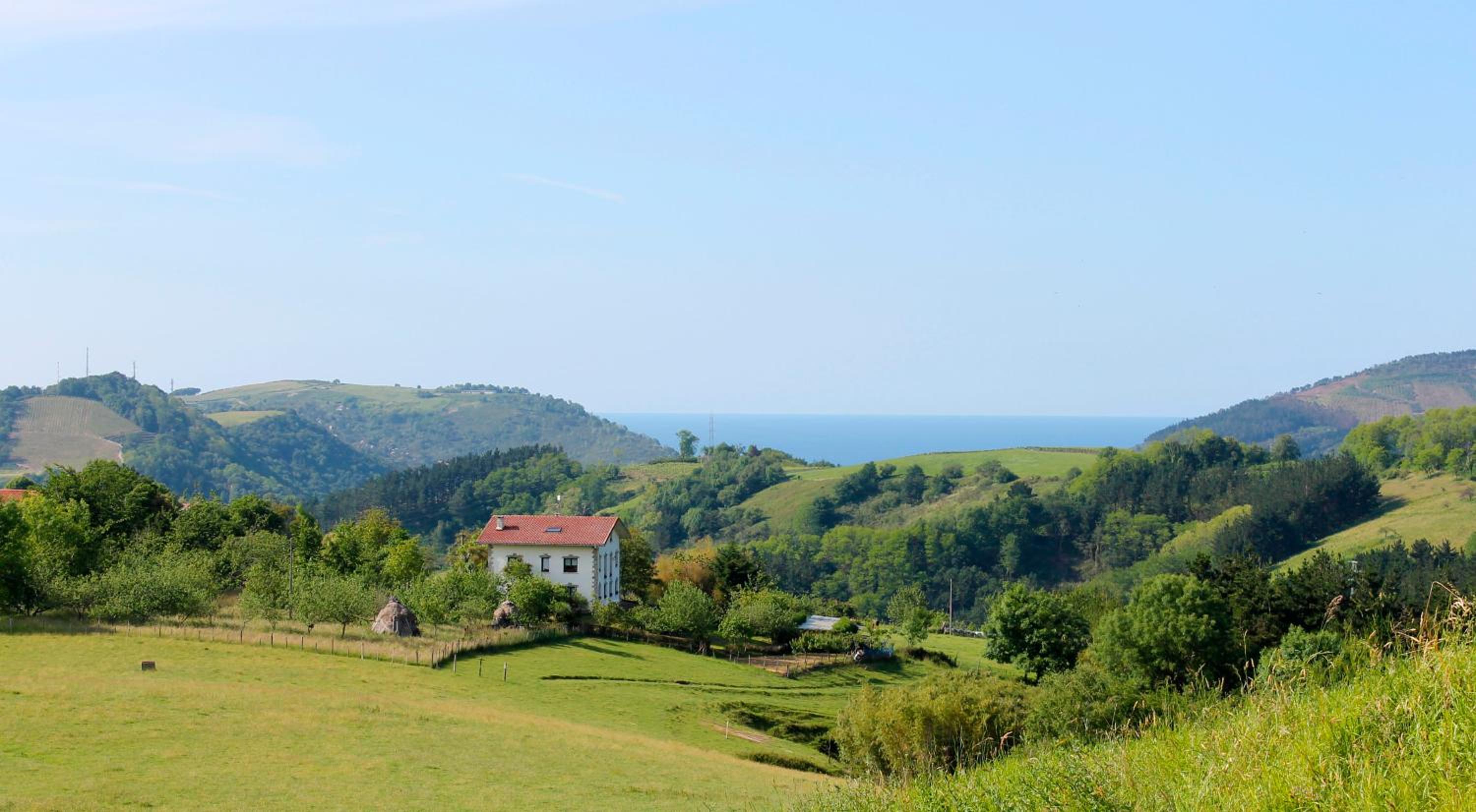 Olaskoaga Goikoa