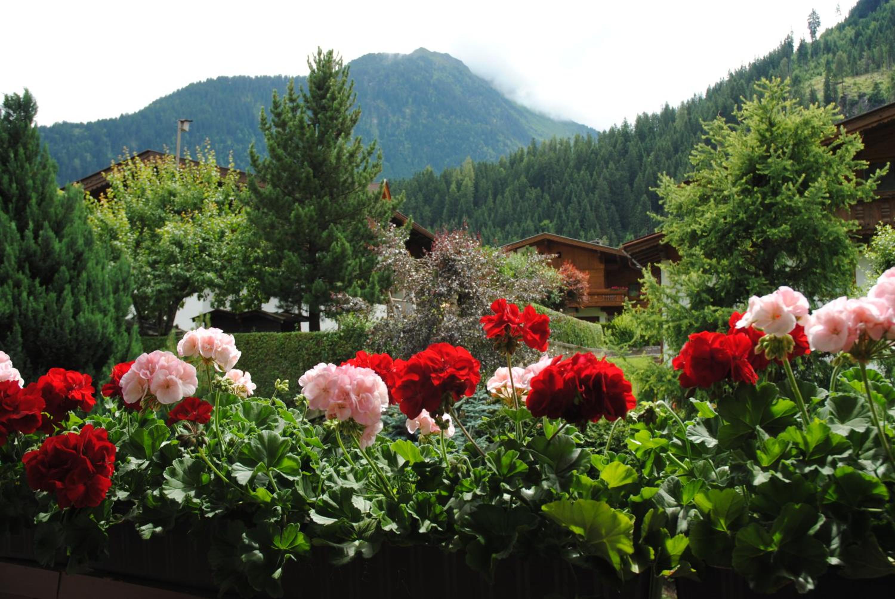 Gästehaus Pirker