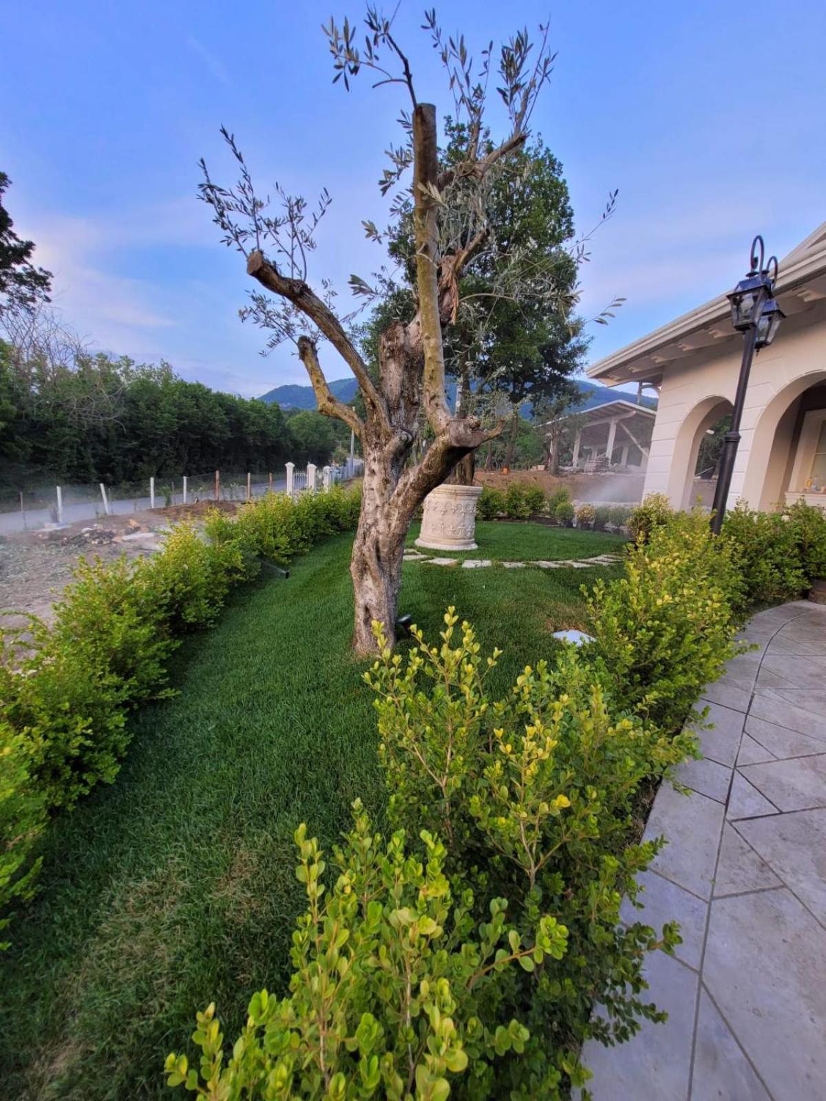 Tenuta Santo Stefano Azienda Agrituristica