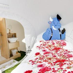 Bulle SPA Paysanne view 3
