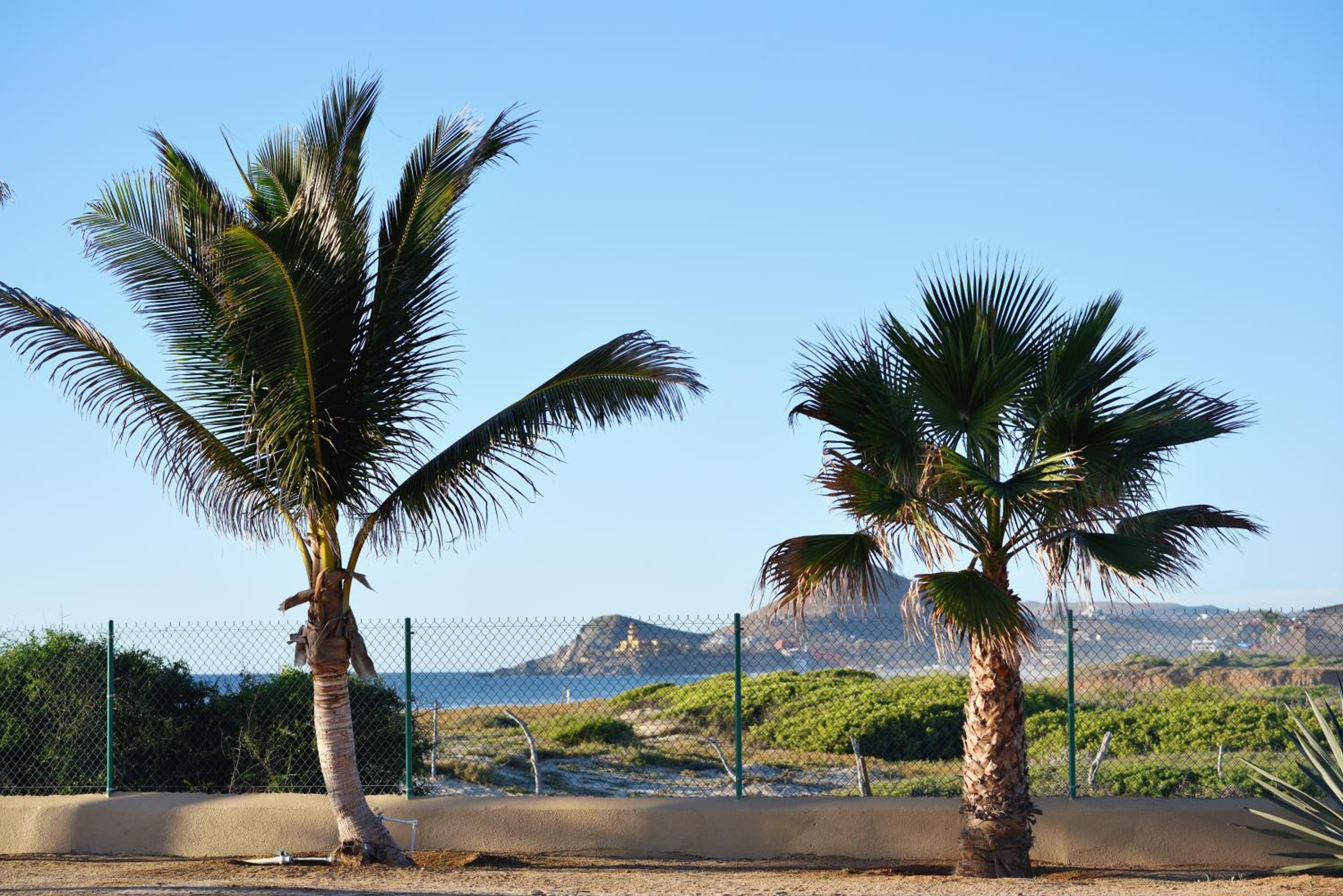 Cerritos Beach Palace