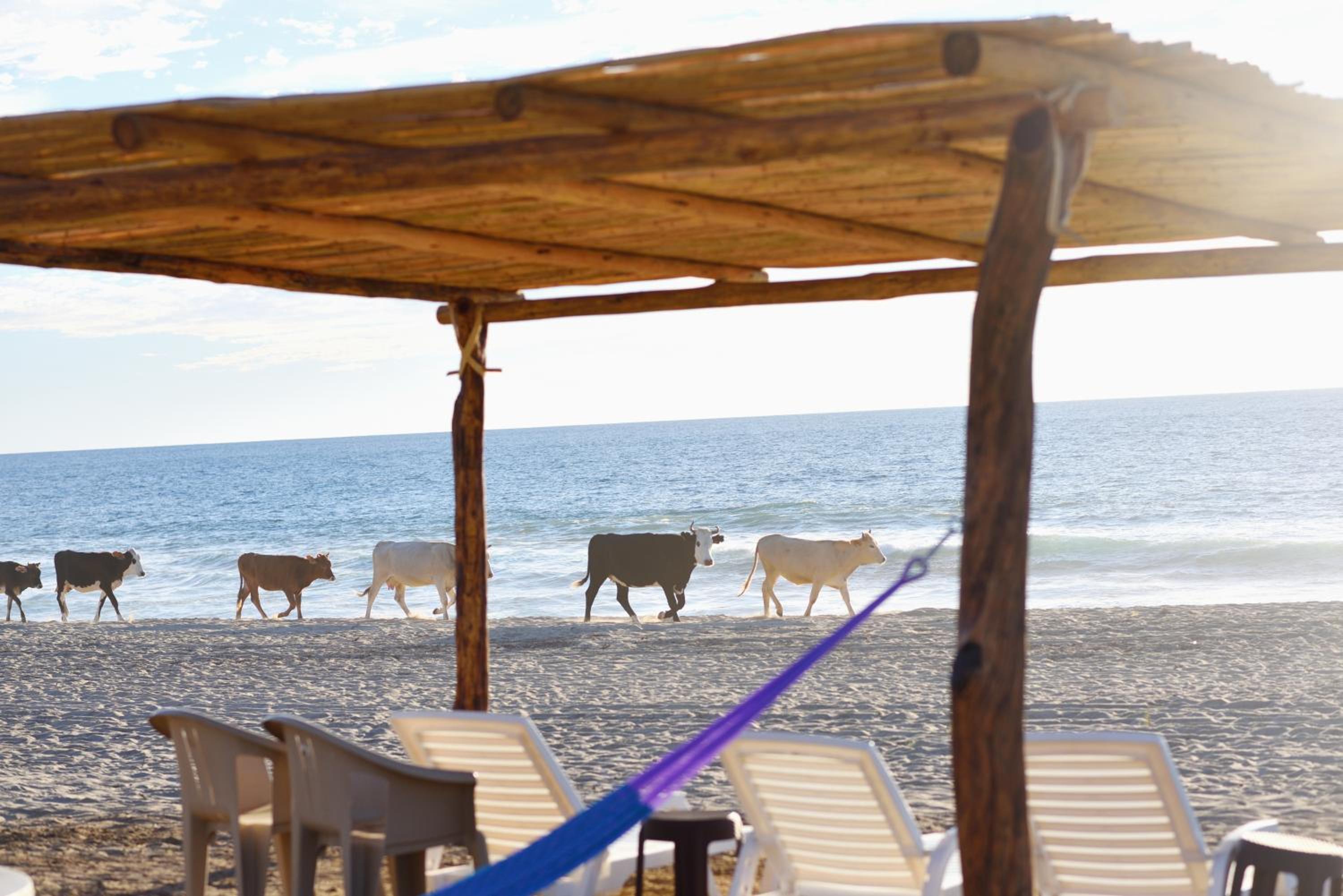 Cerritos Beach Palace