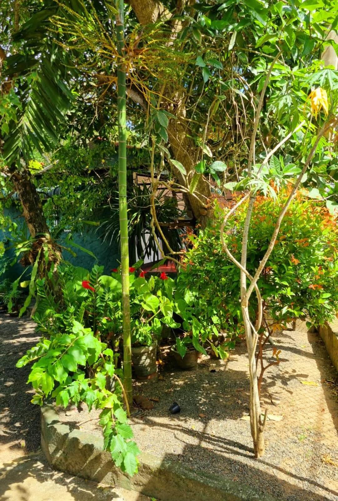 Helena Holiday Cottage view 4
