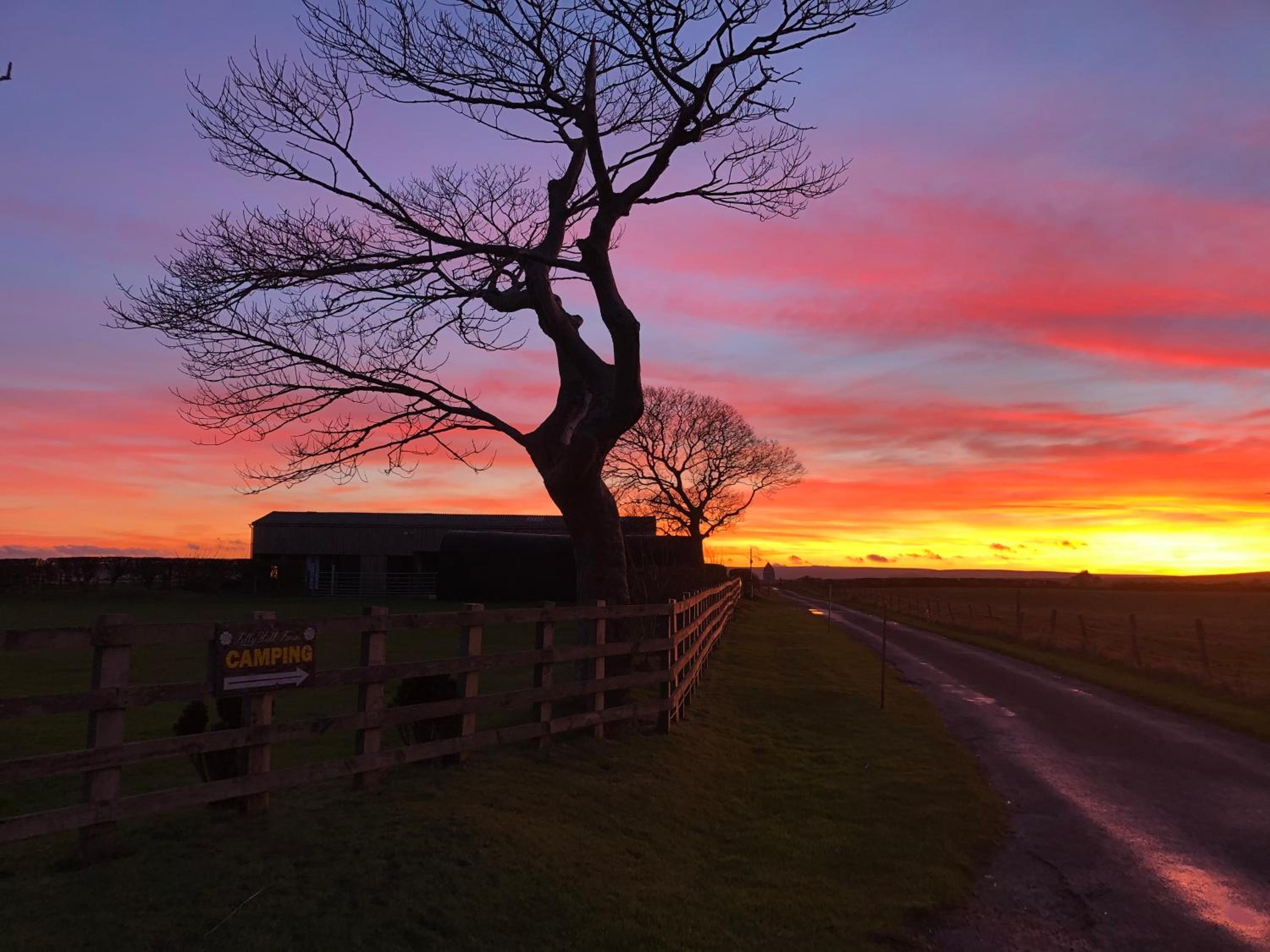 Folly Hall Farm