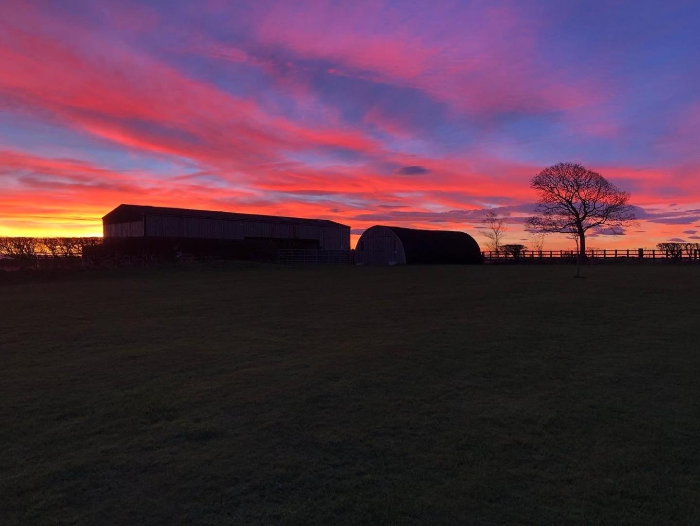 Folly Hall Farm