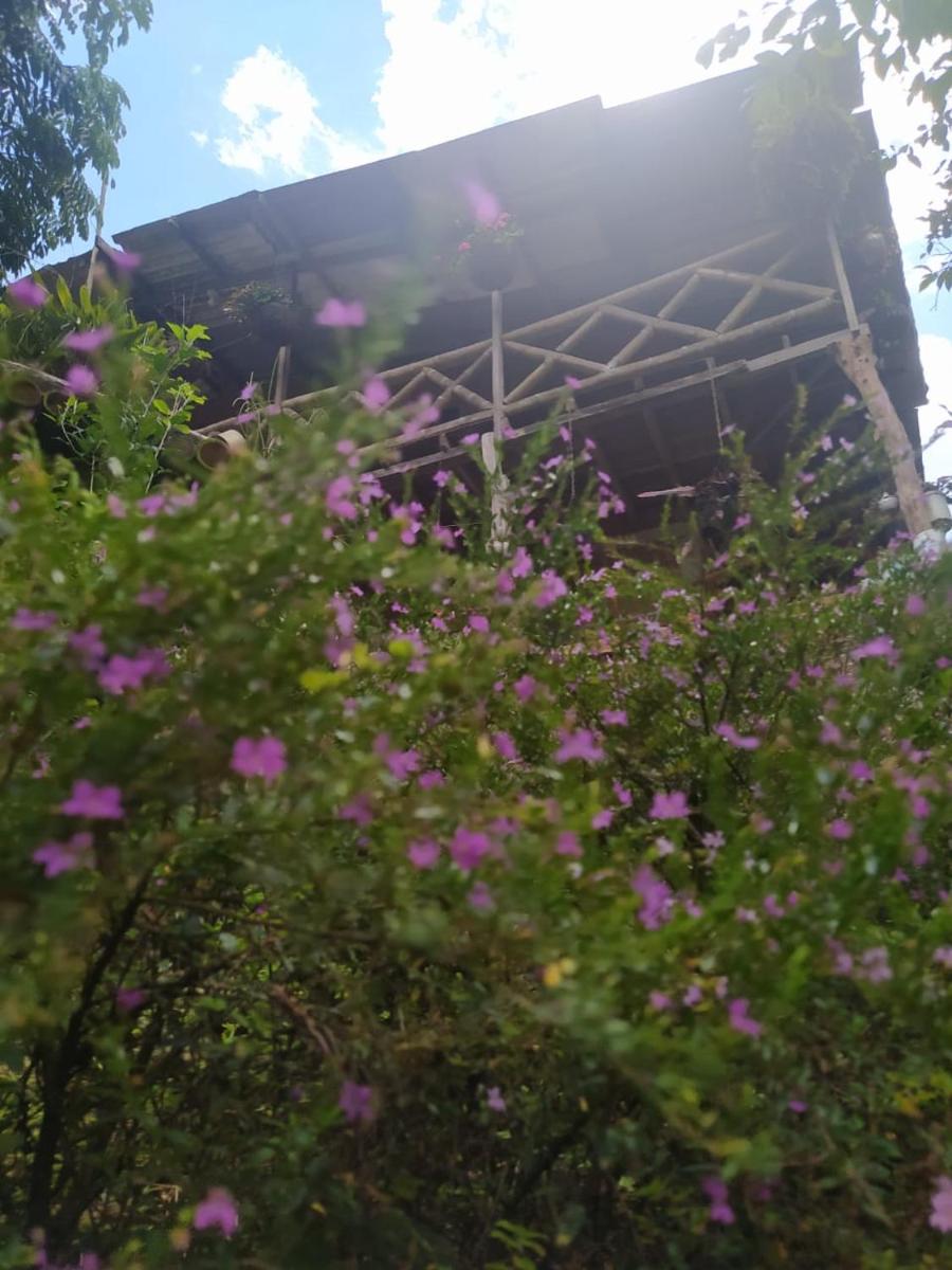 Alojamiento rural pájaros y flores