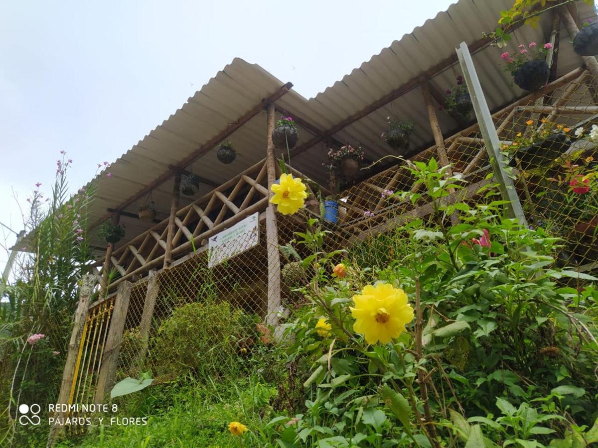 Alojamiento rural pájaros y flores