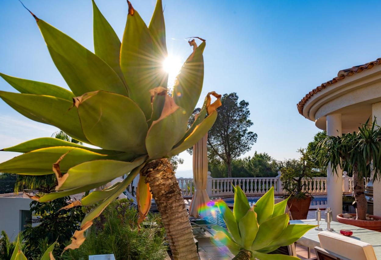 Guesthouse Villa Altea