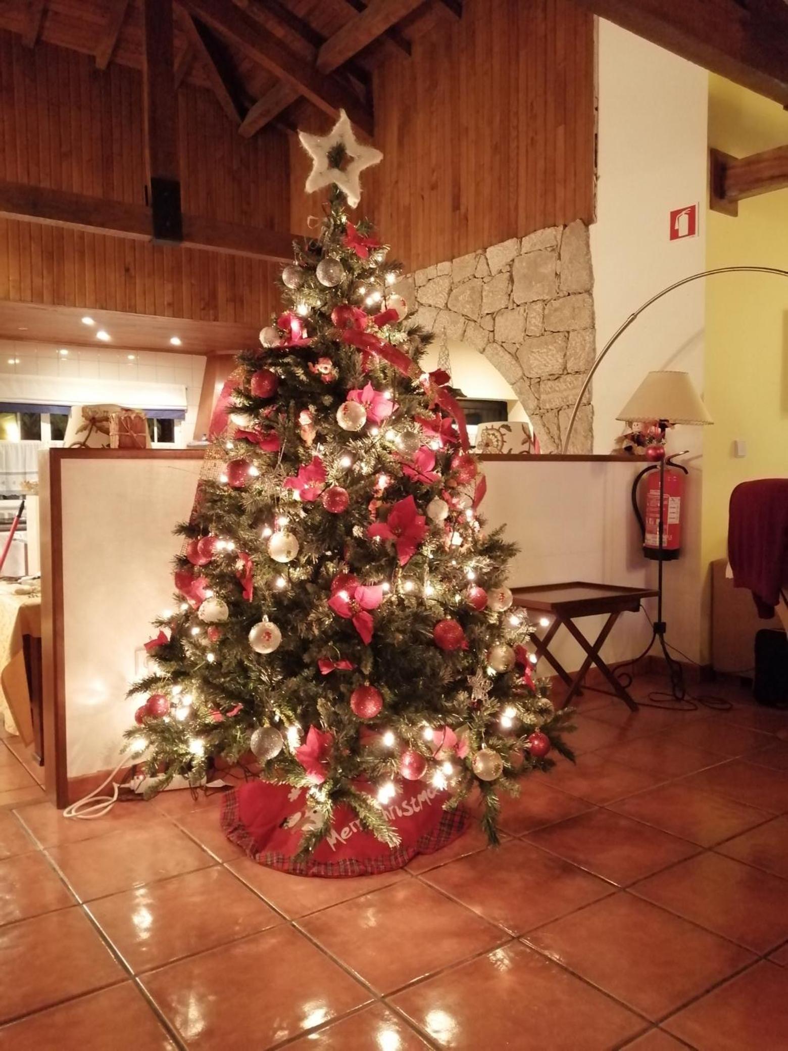 Photo 49