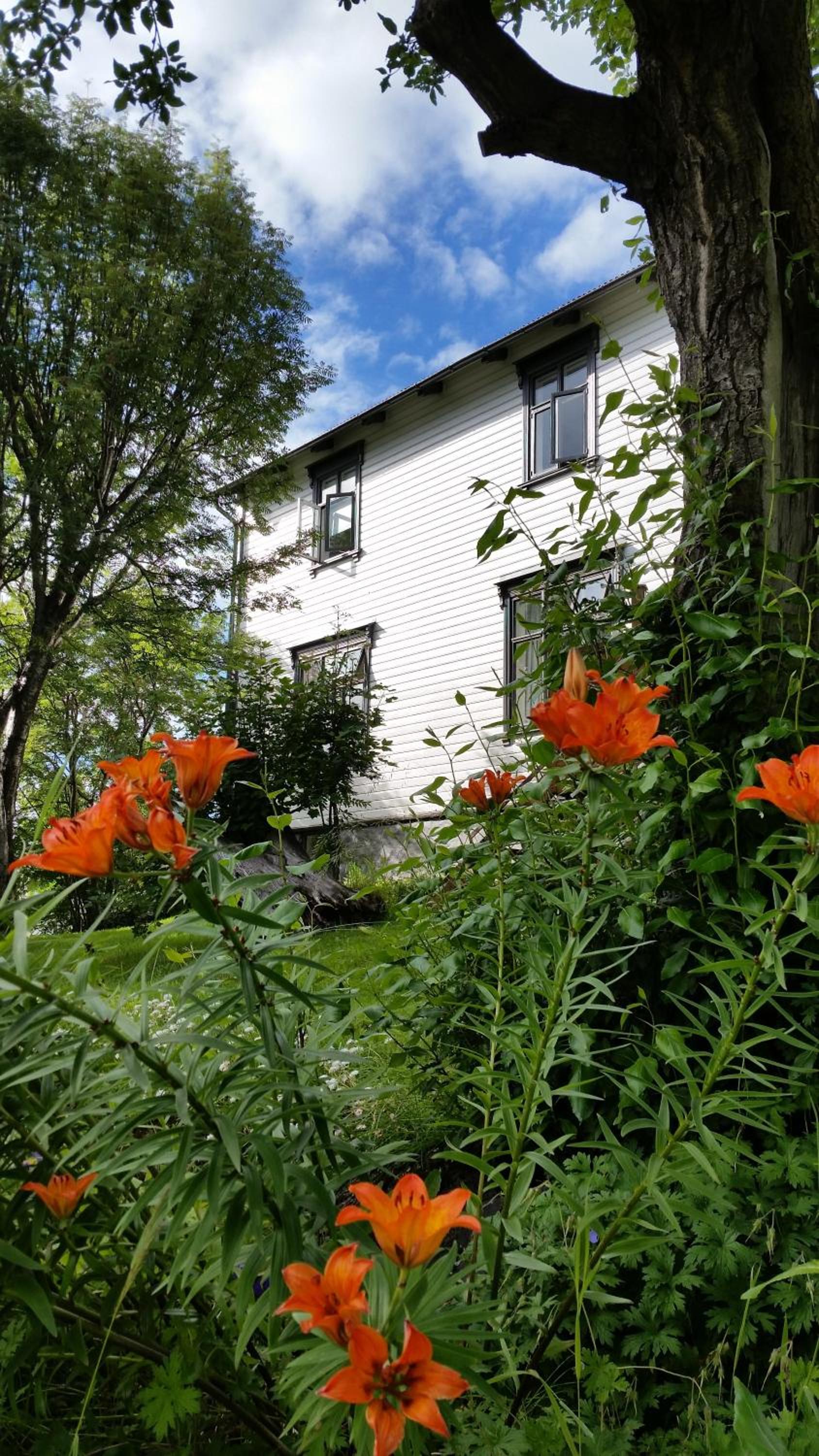 Árból Guesthouse