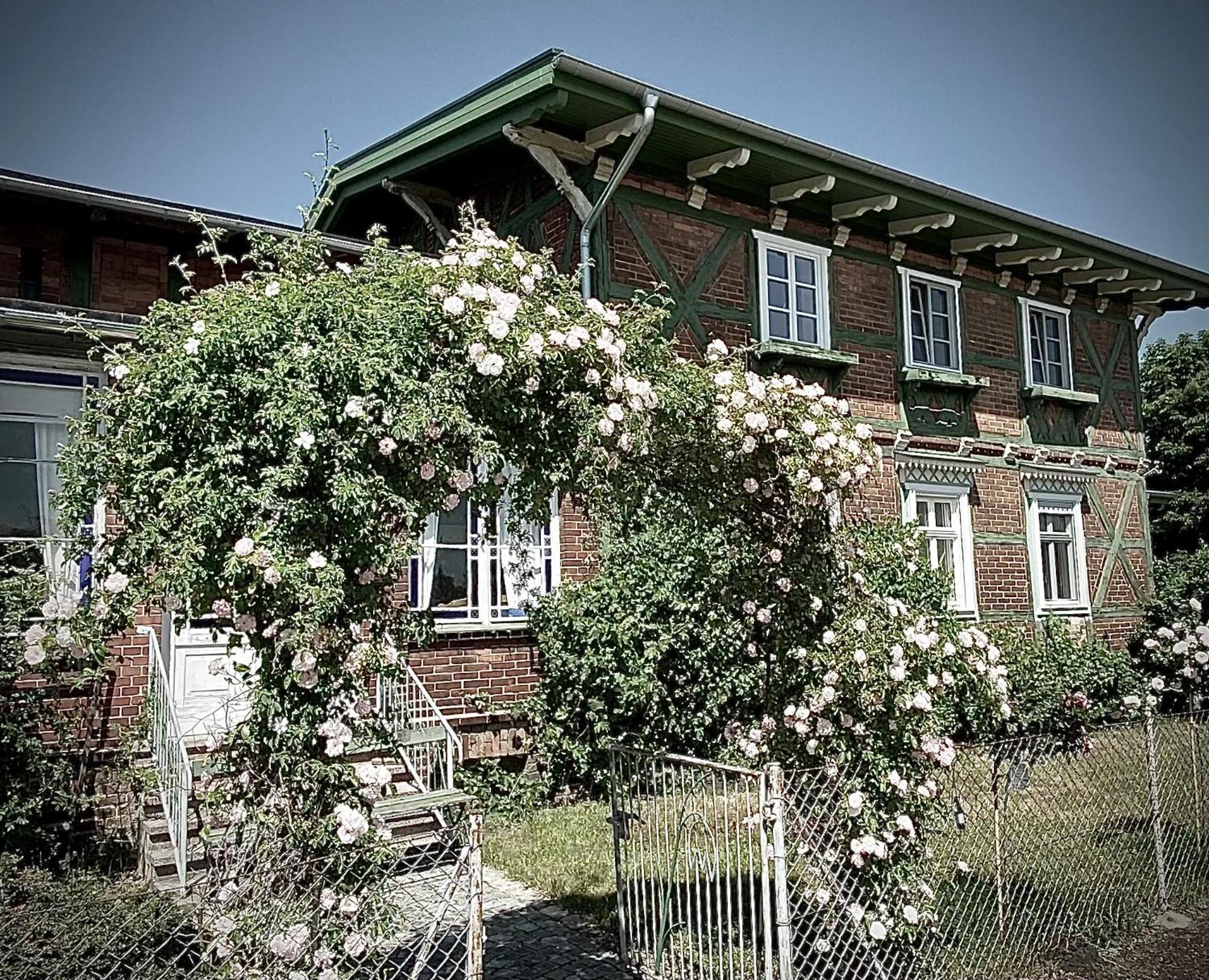 Photo 44