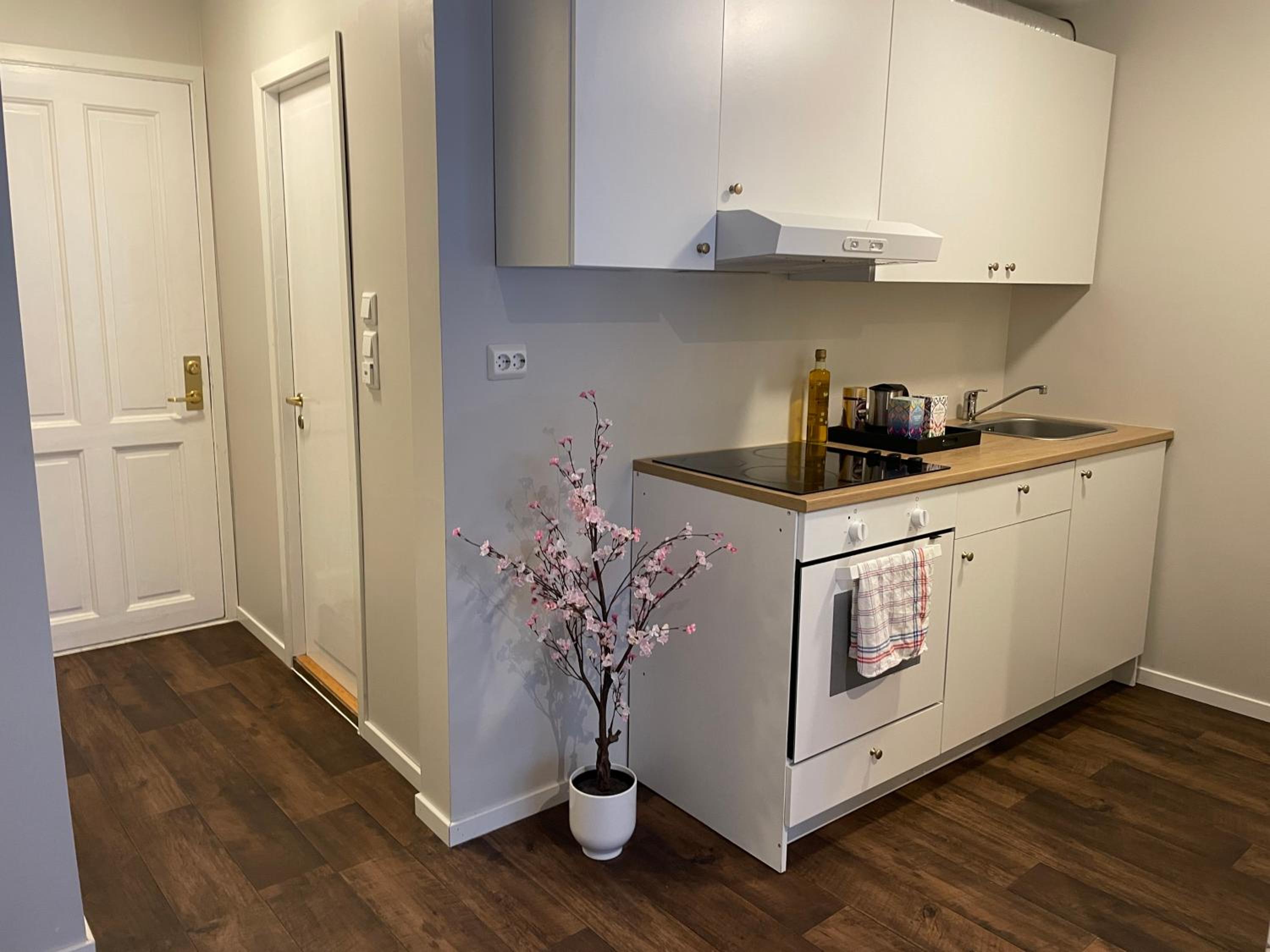 Central Studio Apartment