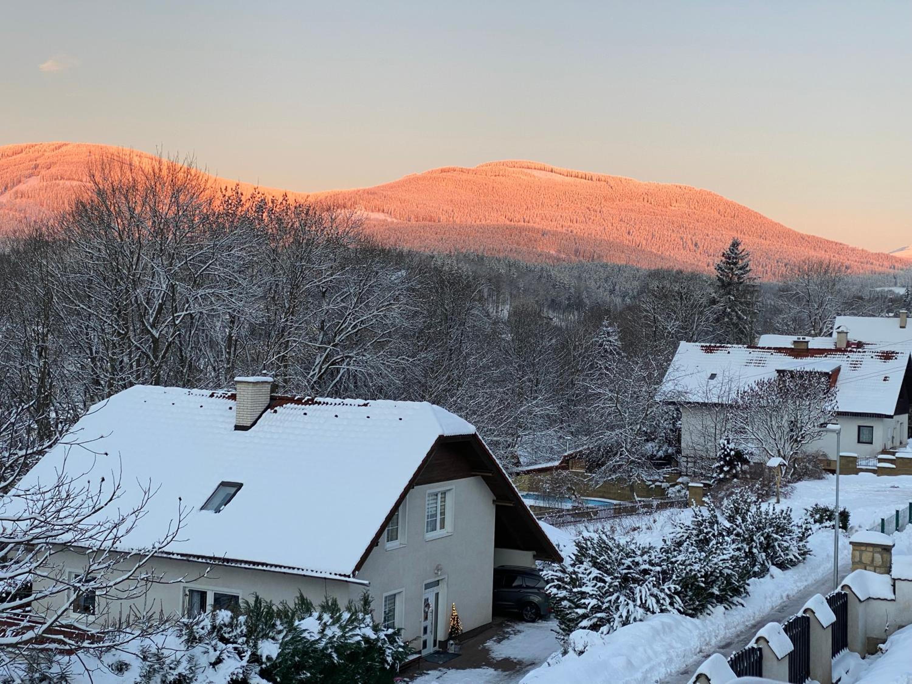 Apartmán pod lesem