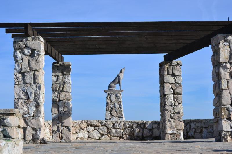 Photo 44