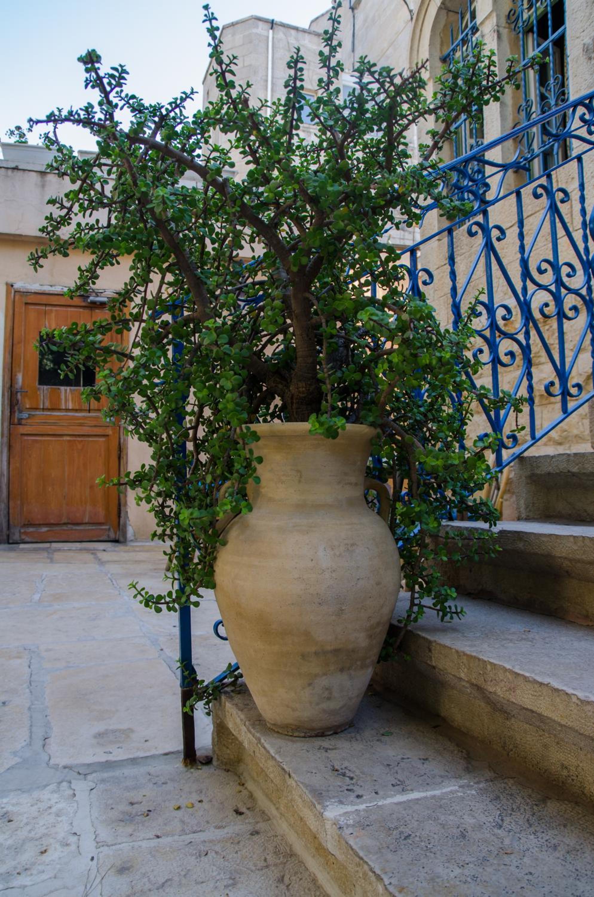 Jerusalem Garden Home