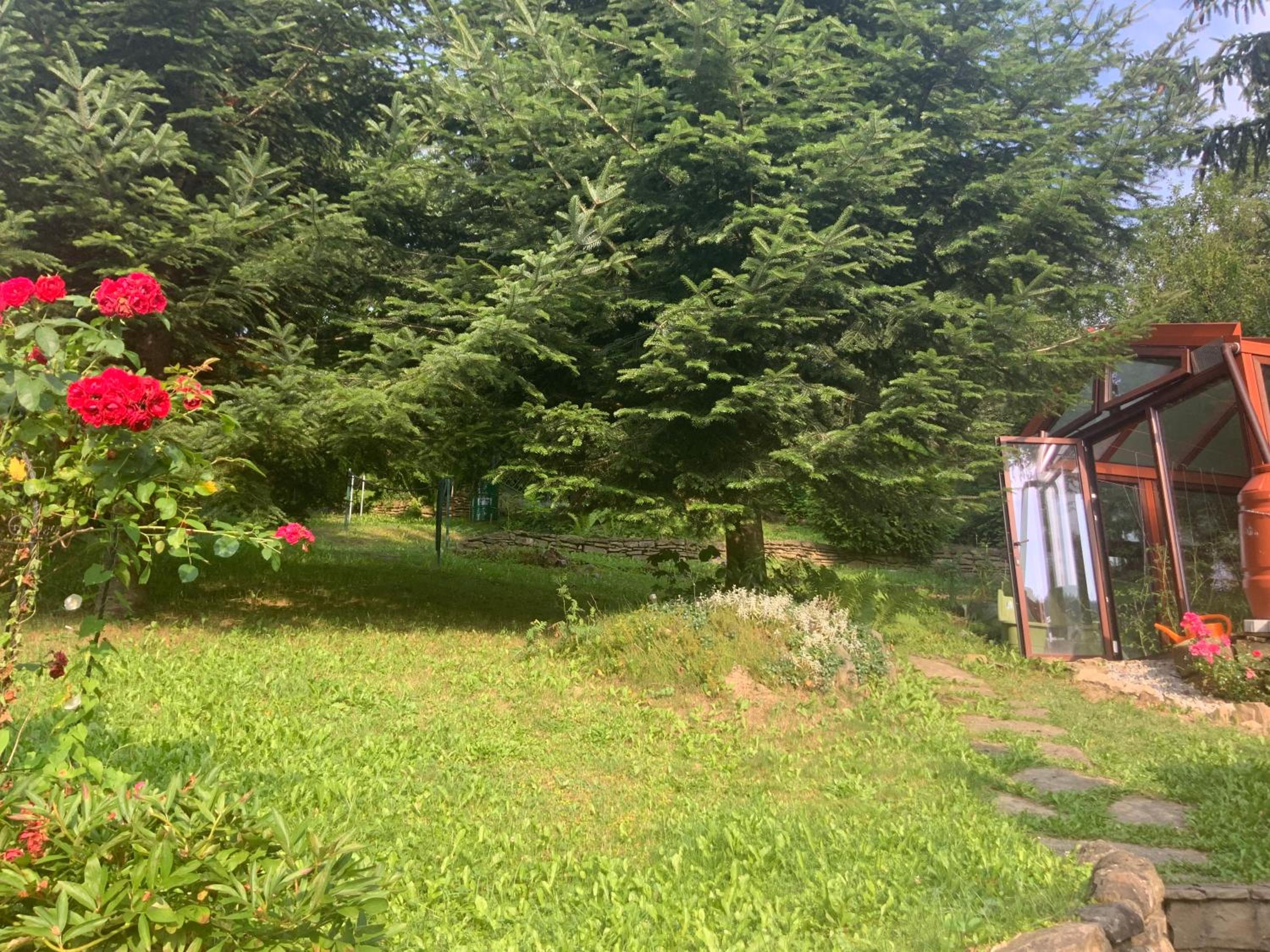 Photo 34