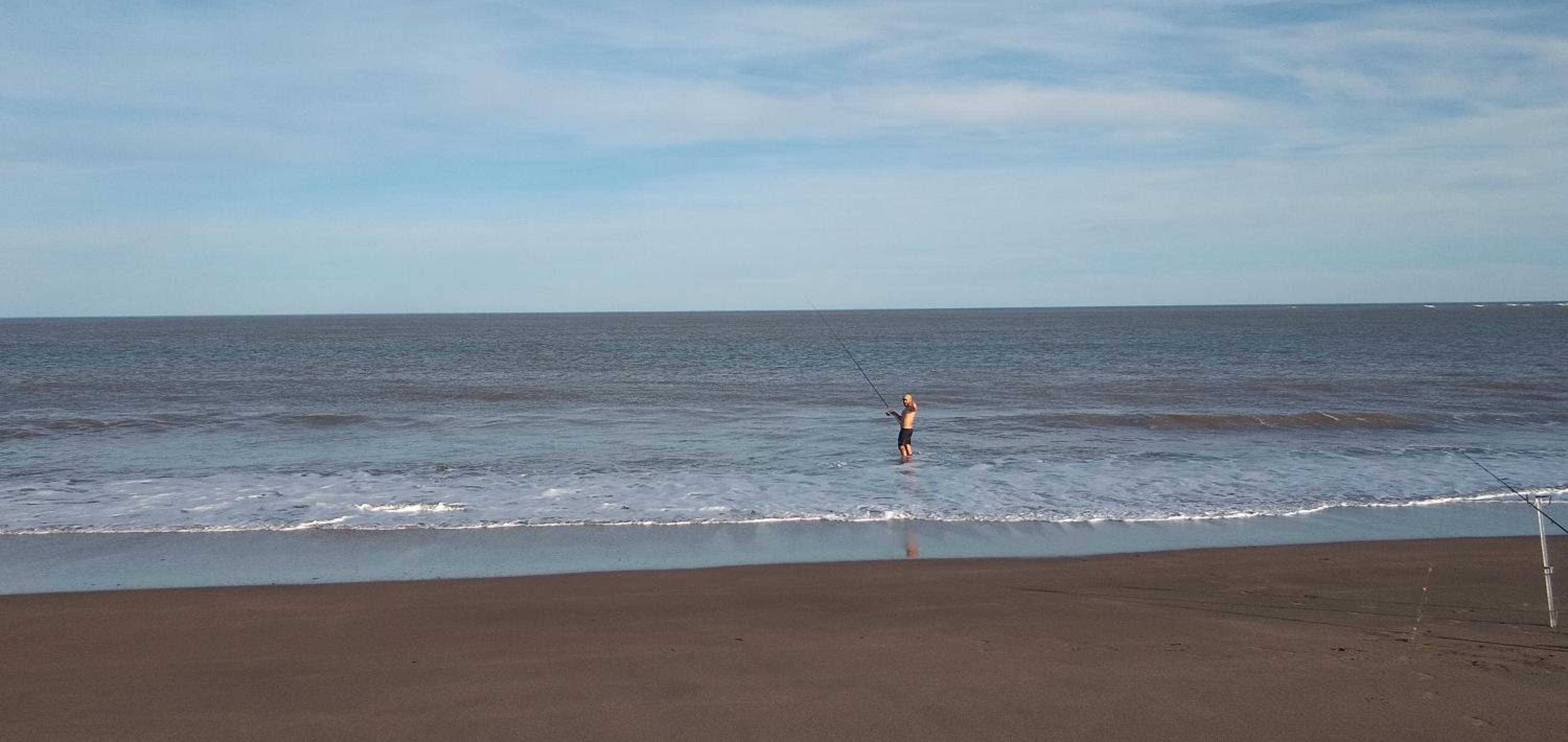 Alojamiento El Pinar