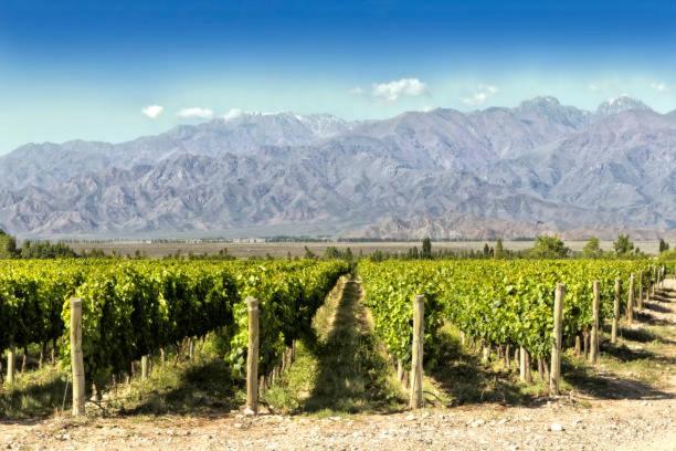 Apartamento Deluxe Senderos del Vino I, con cochera incluida, Desayuno opcional