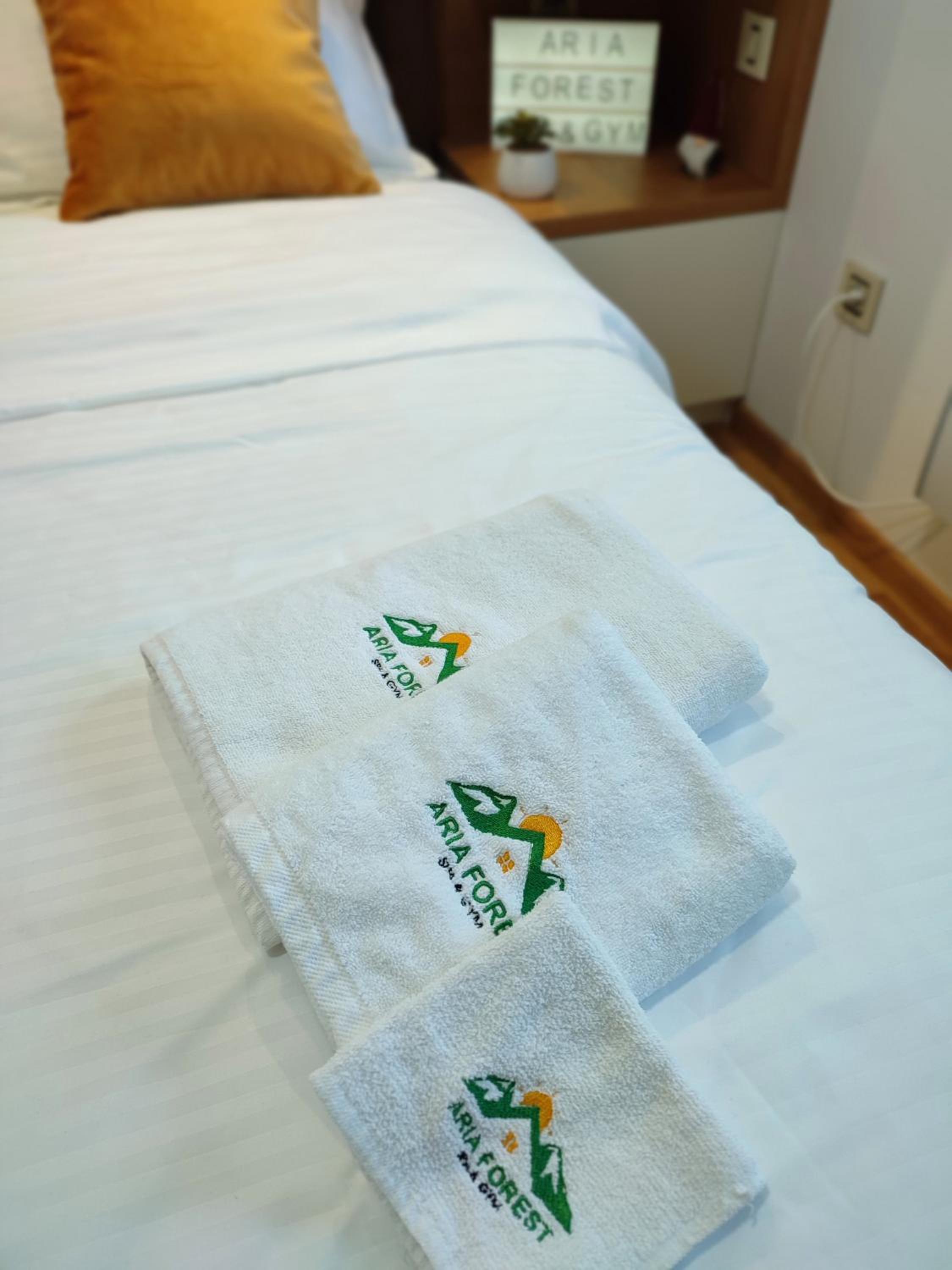 Zlatibor Apartman Aria Forest Spa & Gym view 3