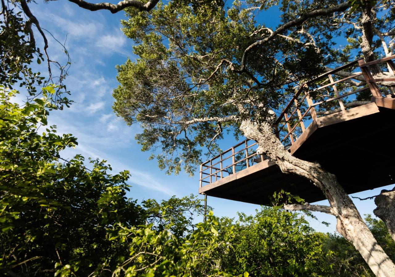 Tribe Yala - Luxury Camping view 5
