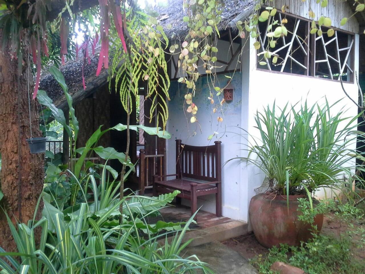 Banpainamhomestay — photo 3