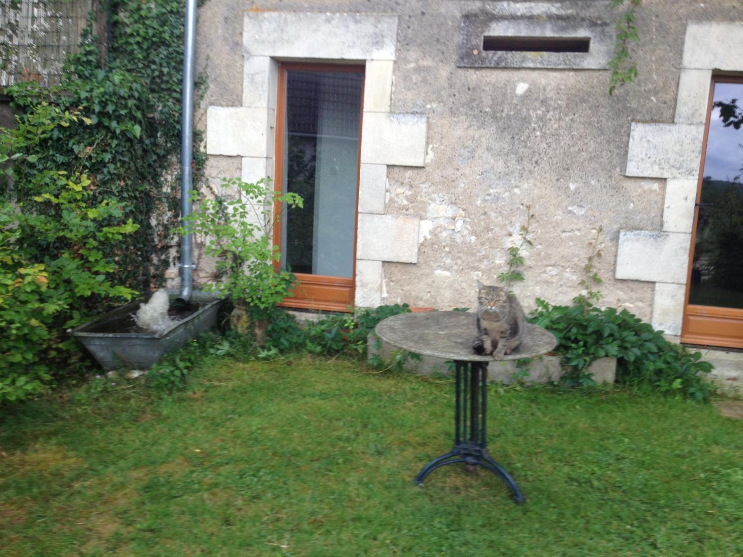 Photo 14
