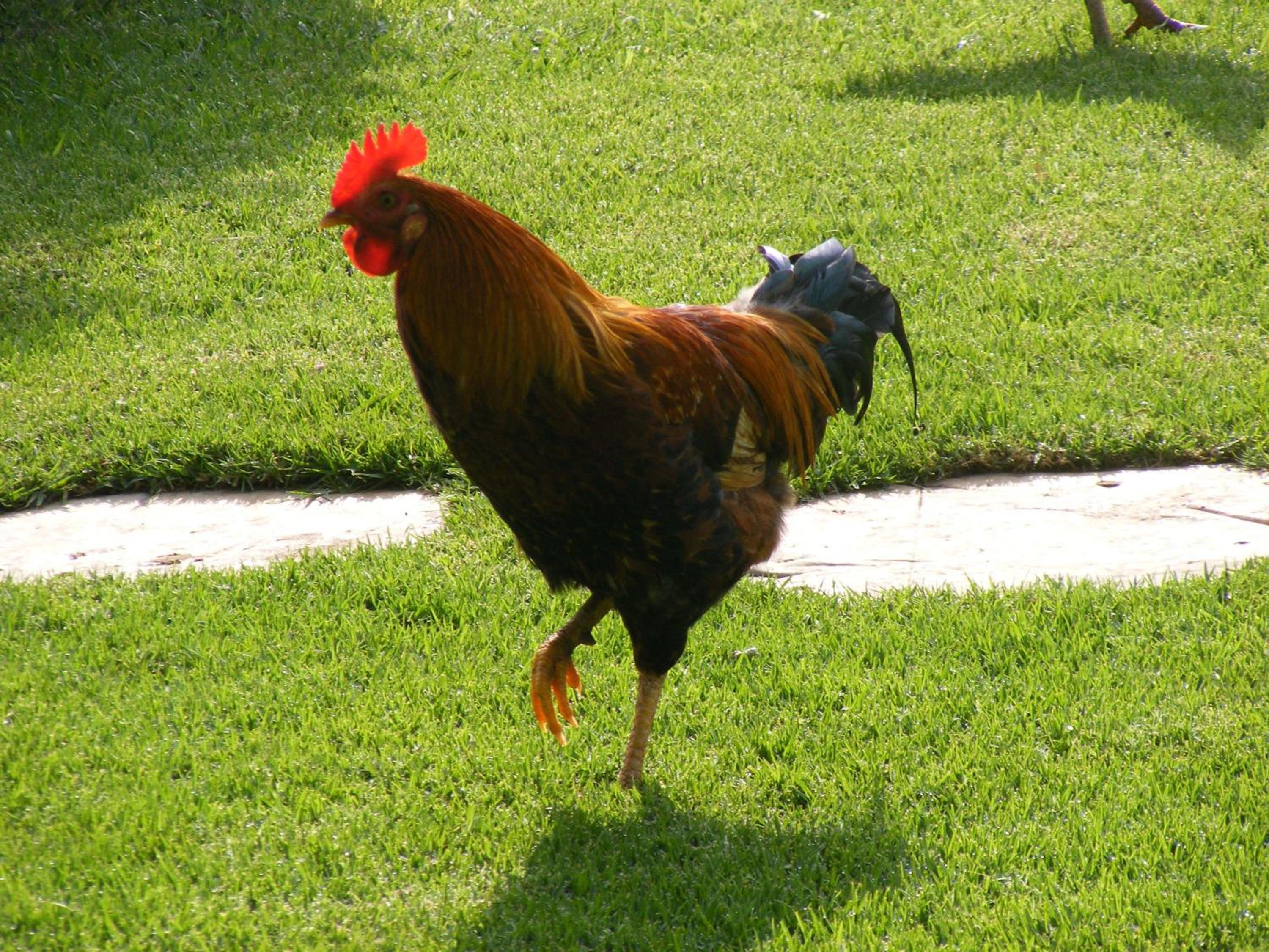 Kareekloof Game Farm