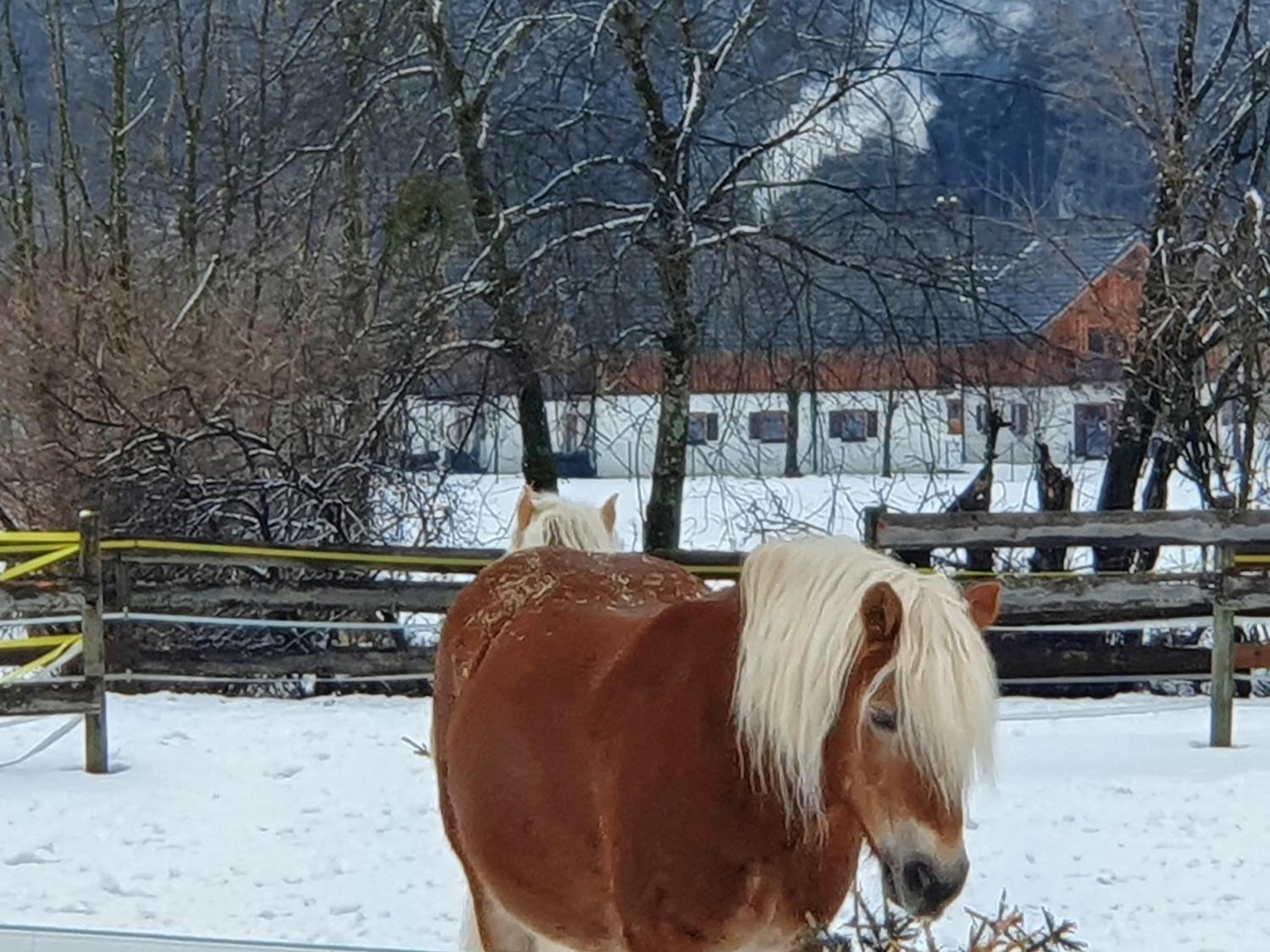 Haus Salzkammergut