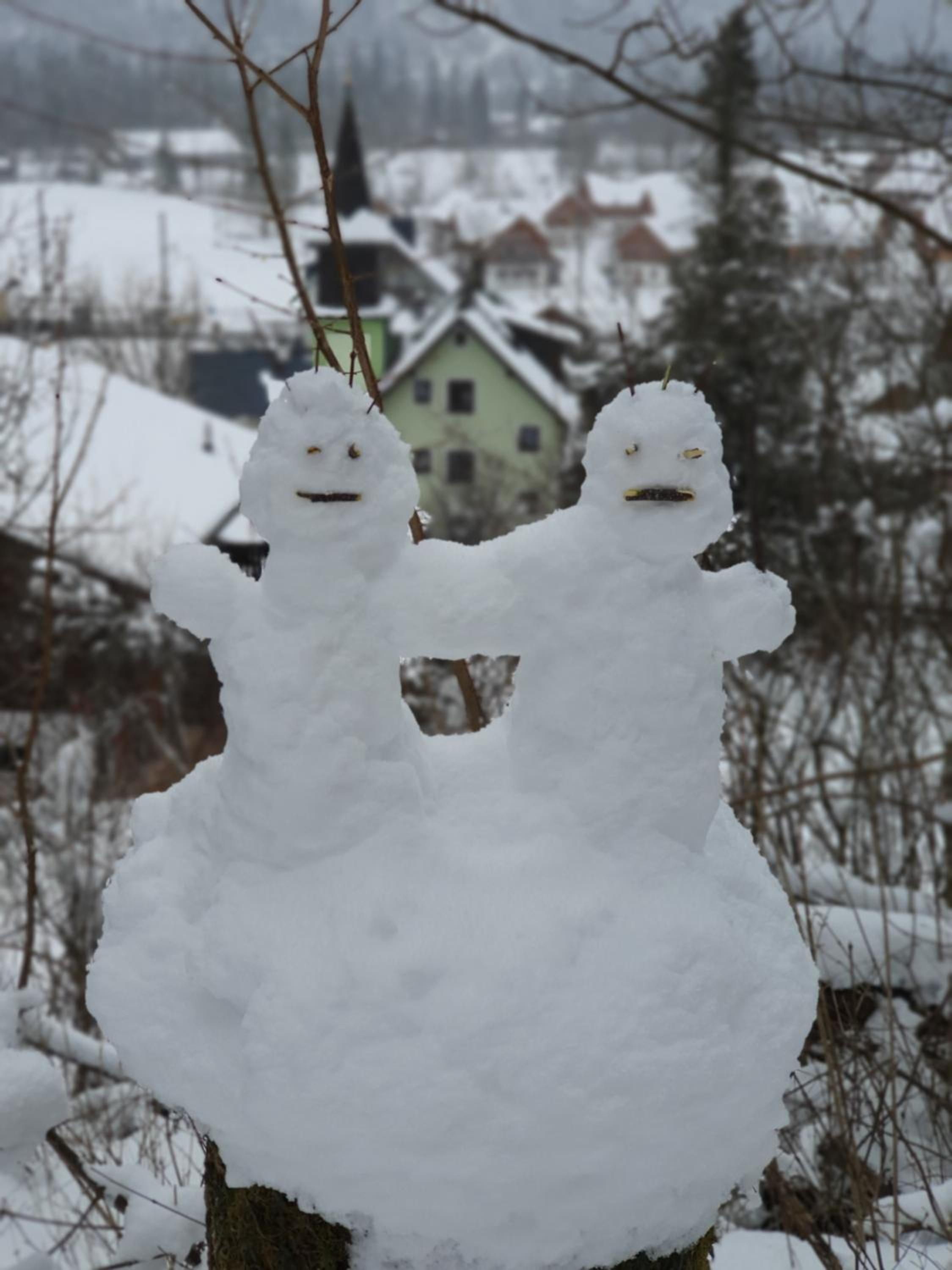 Haus Salzkammergut