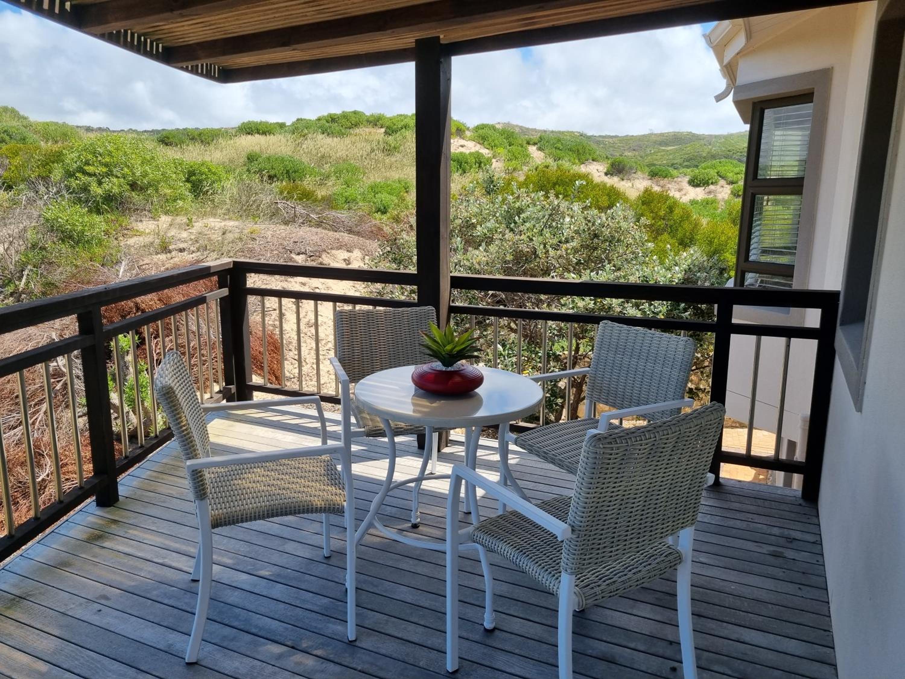 Gull's Stilbaai