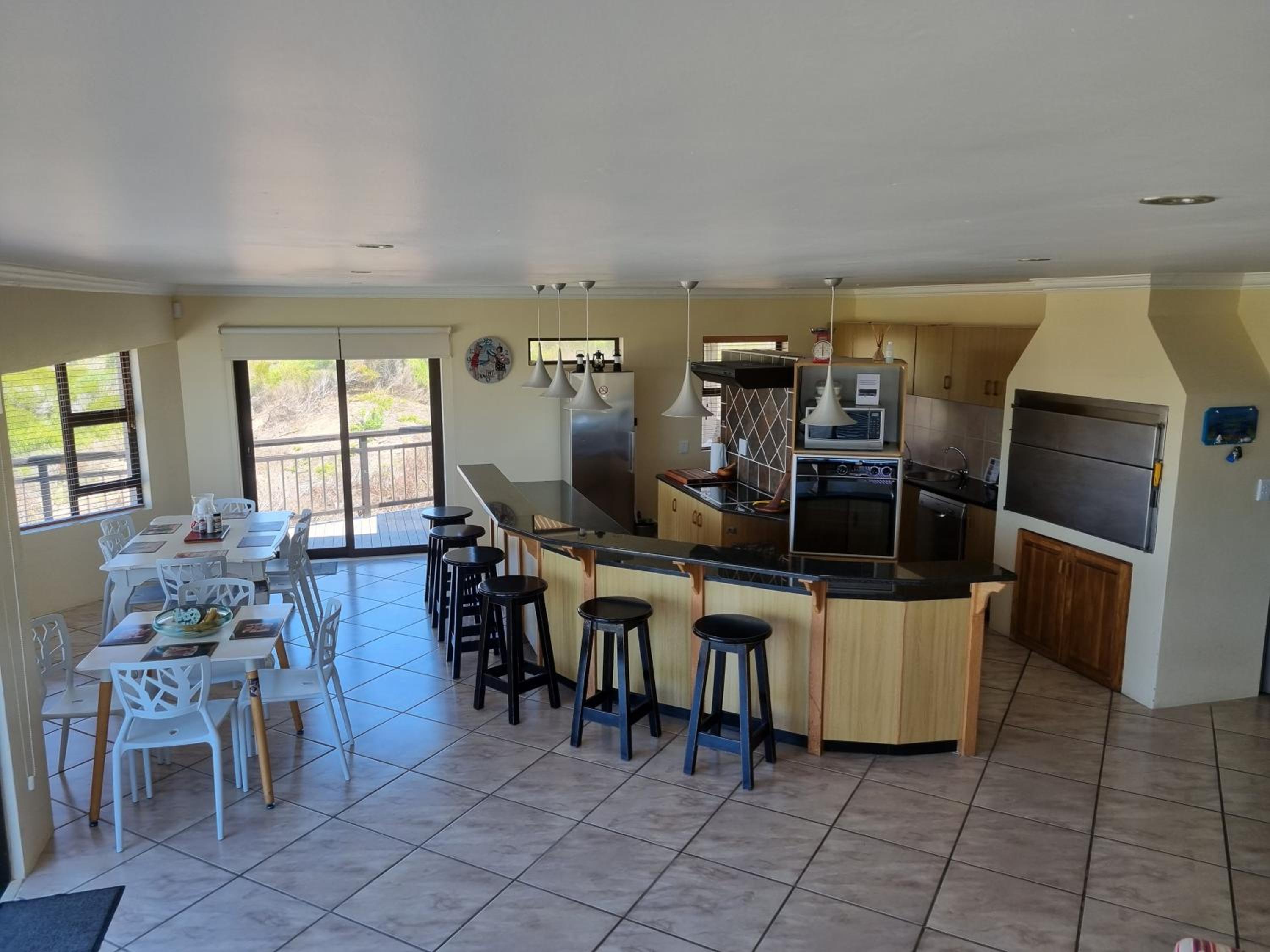 Gull's Stilbaai