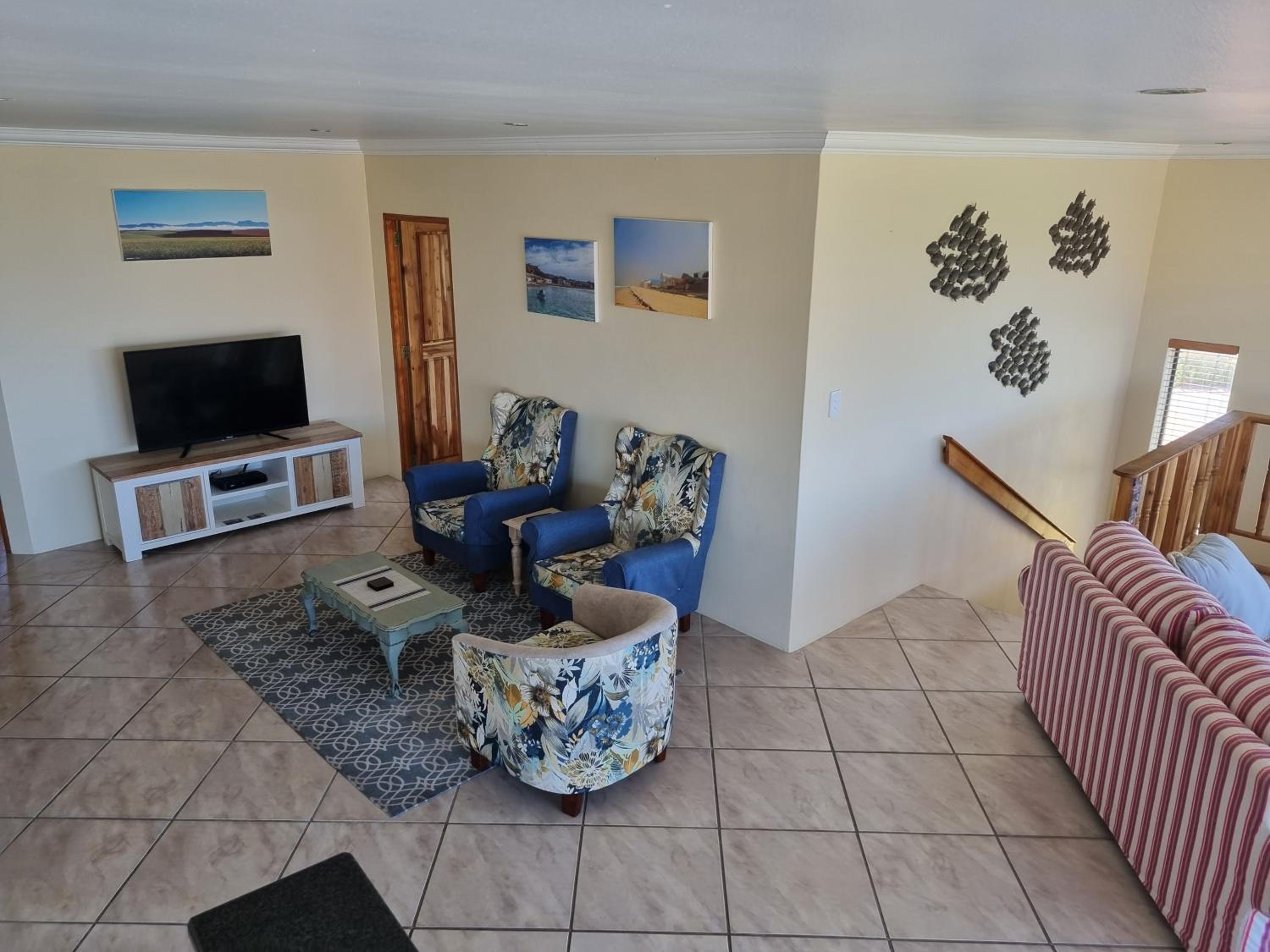 Gull's Stilbaai