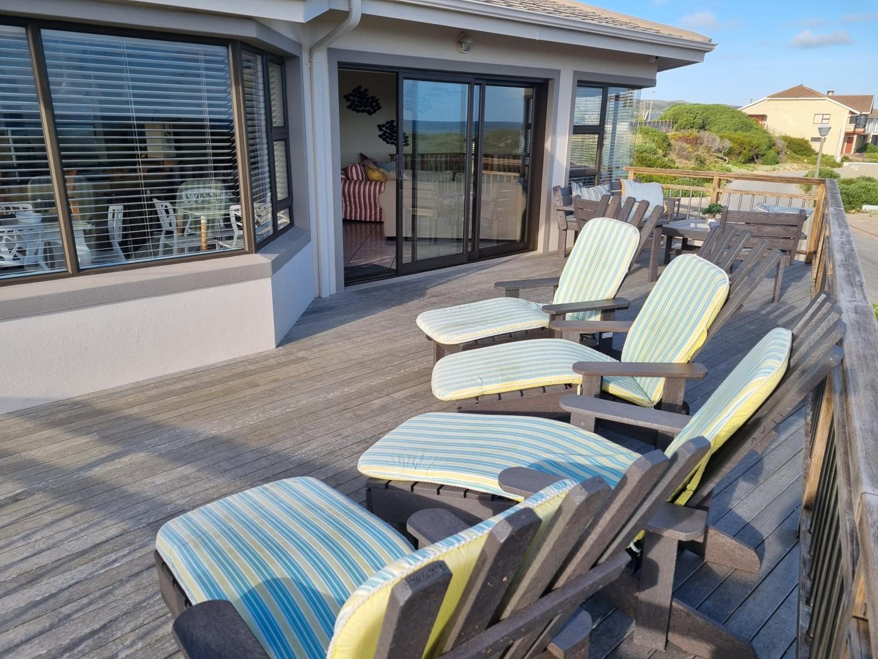 Gull's Stilbaai