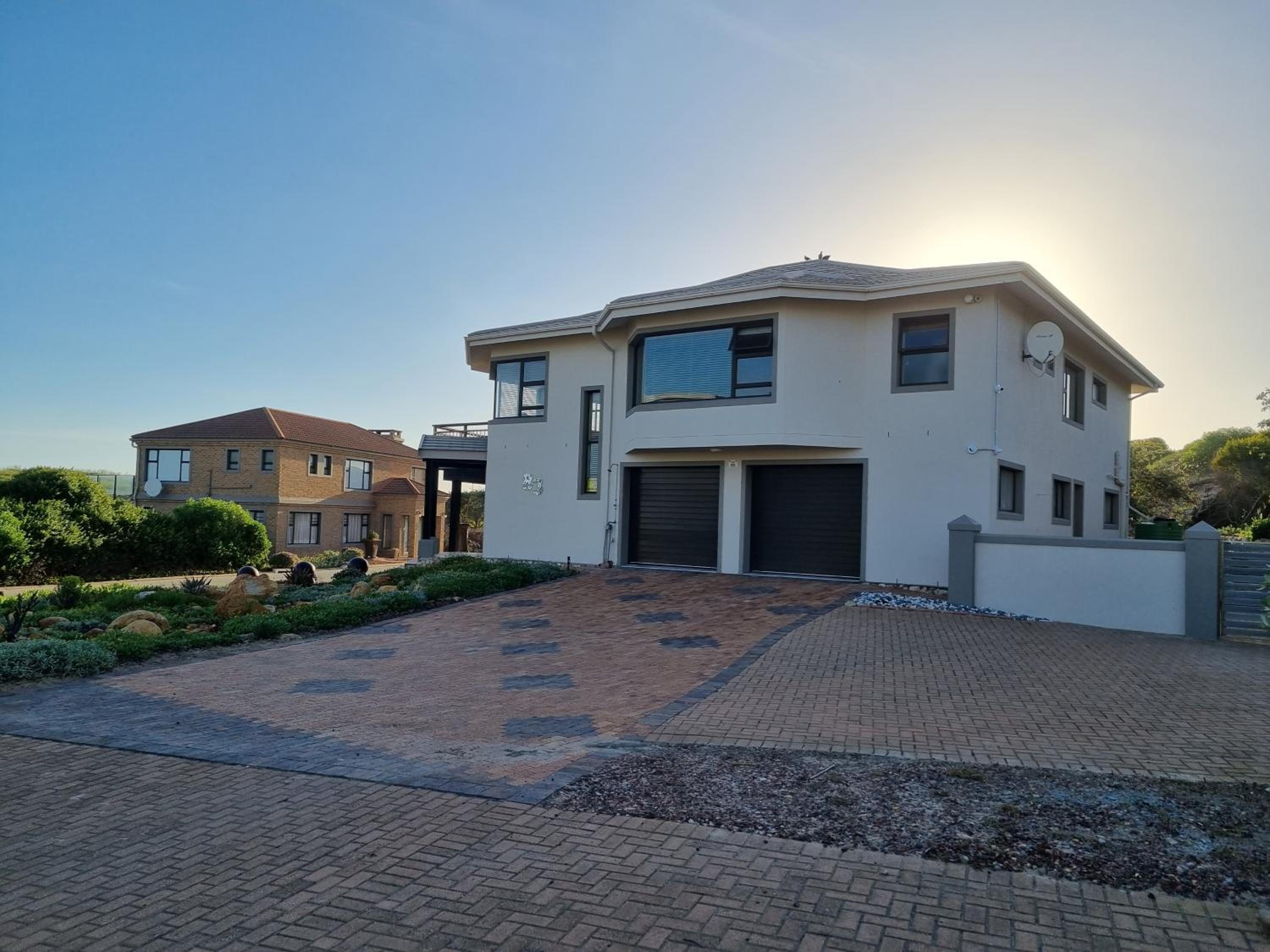 Gull's Stilbaai