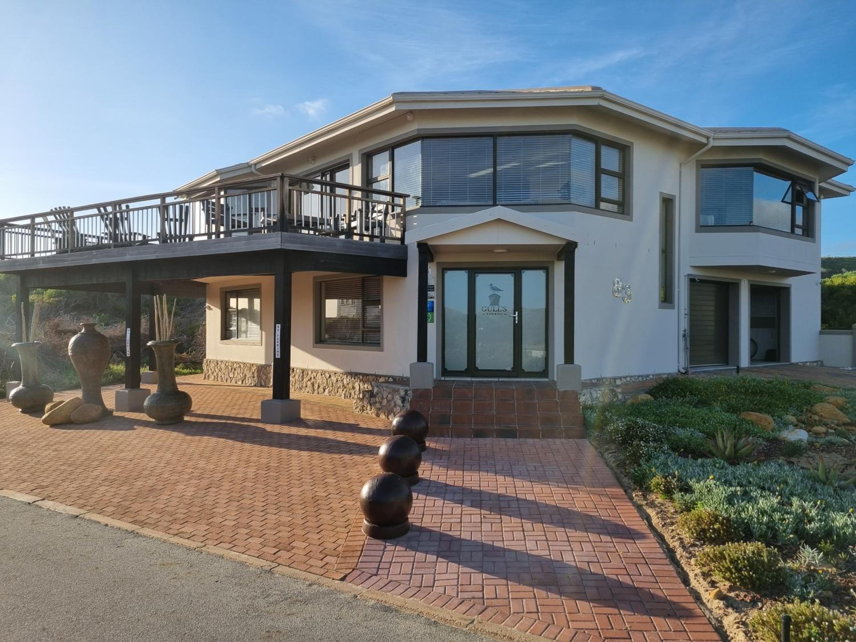Gull's Stilbaai