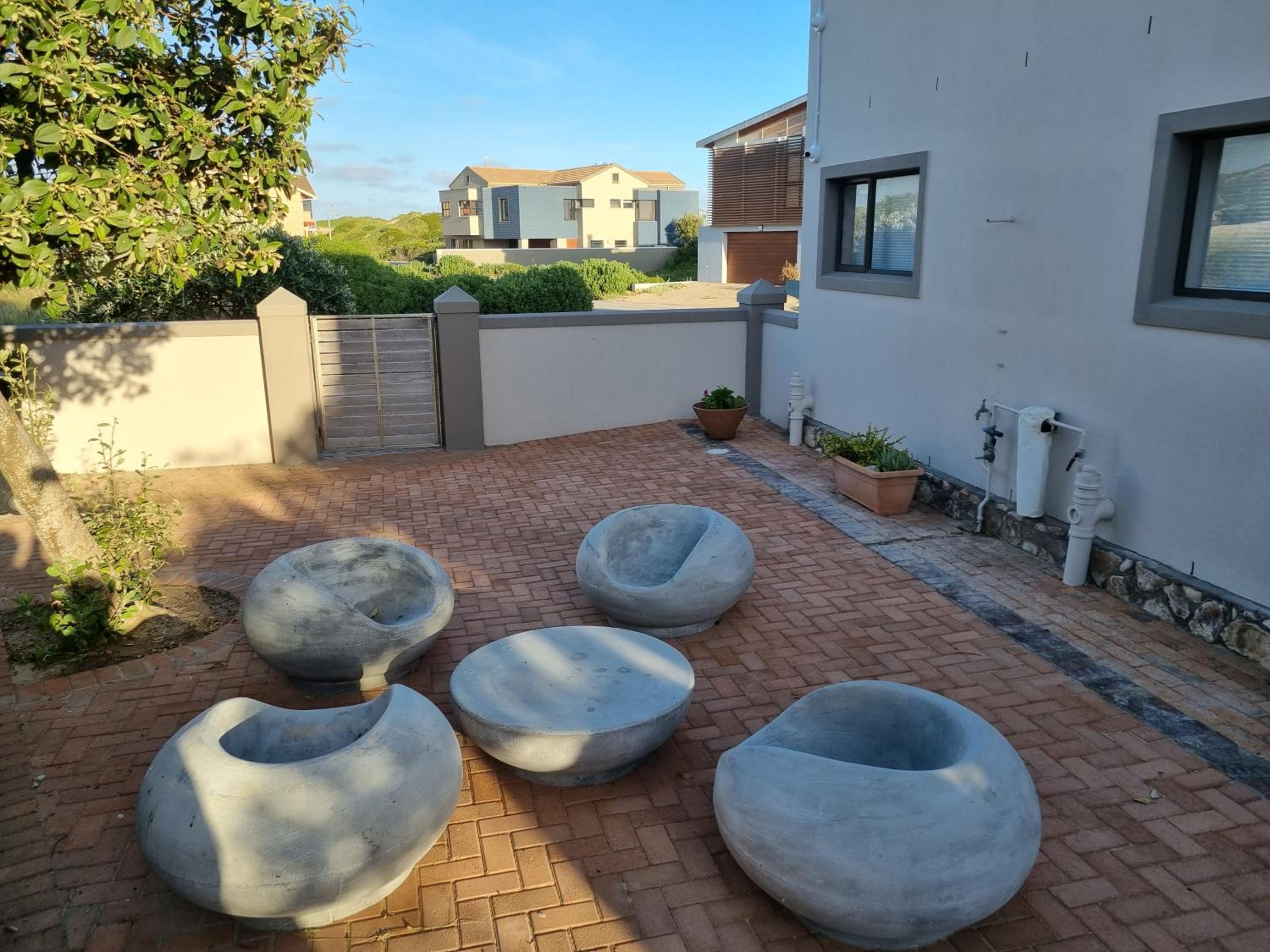 Gull's Stilbaai