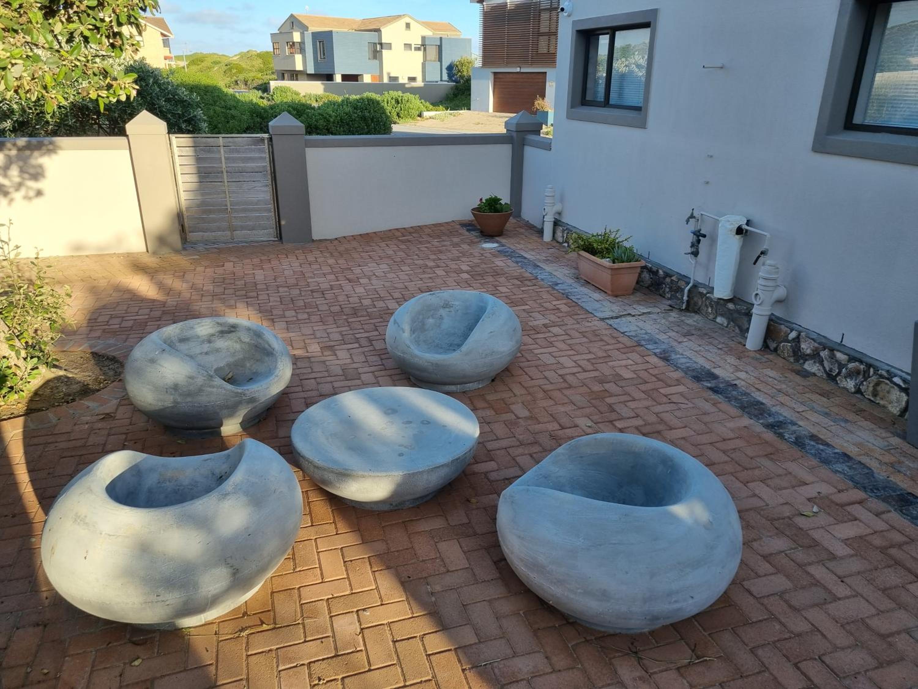 Gull's Stilbaai