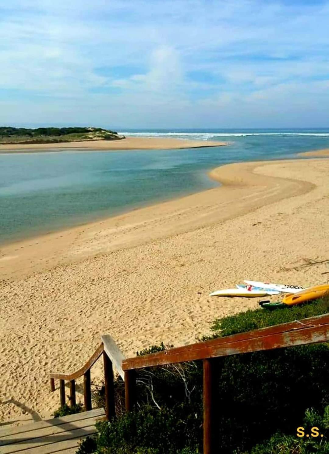 Gull's Stilbaai