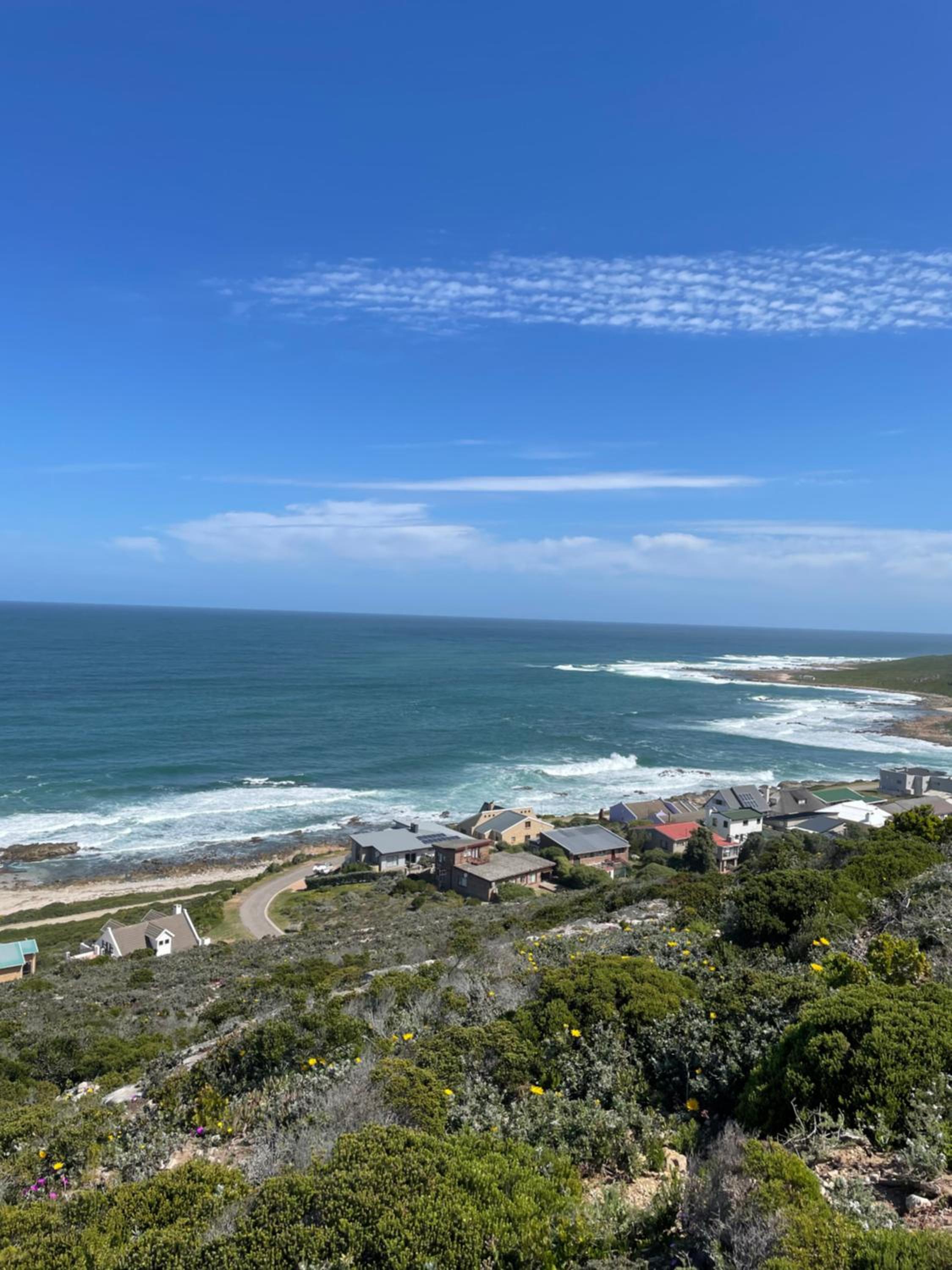 Gull's Stilbaai