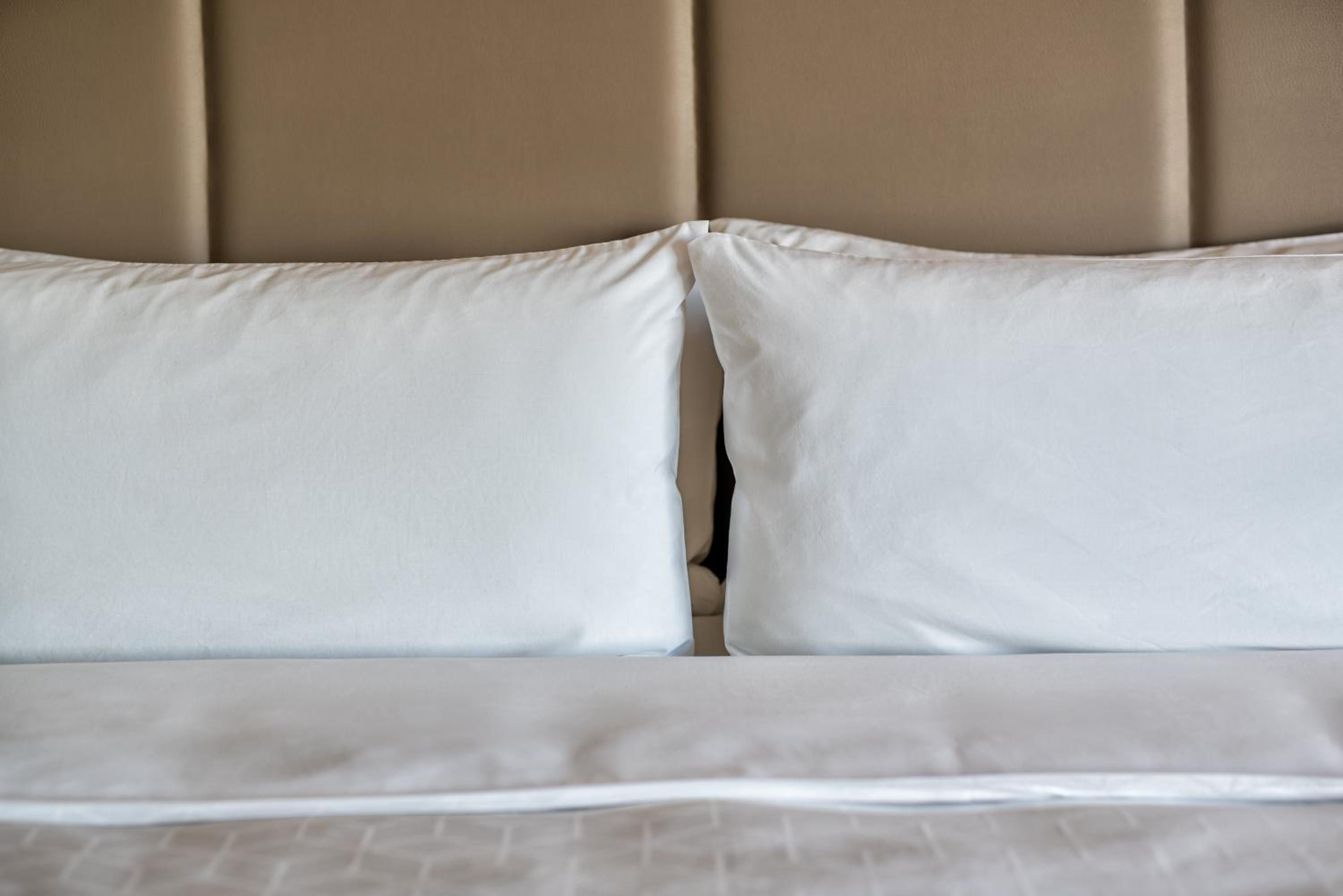 Brandon Vacations - Holiday Inn Express  Suites - Brandon, an IHG Hotel - Property Image 3