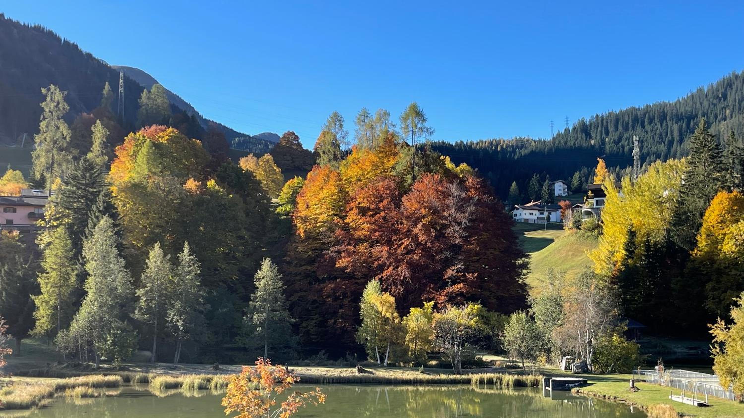 Ferienwohnung mit idyllischer Aussicht