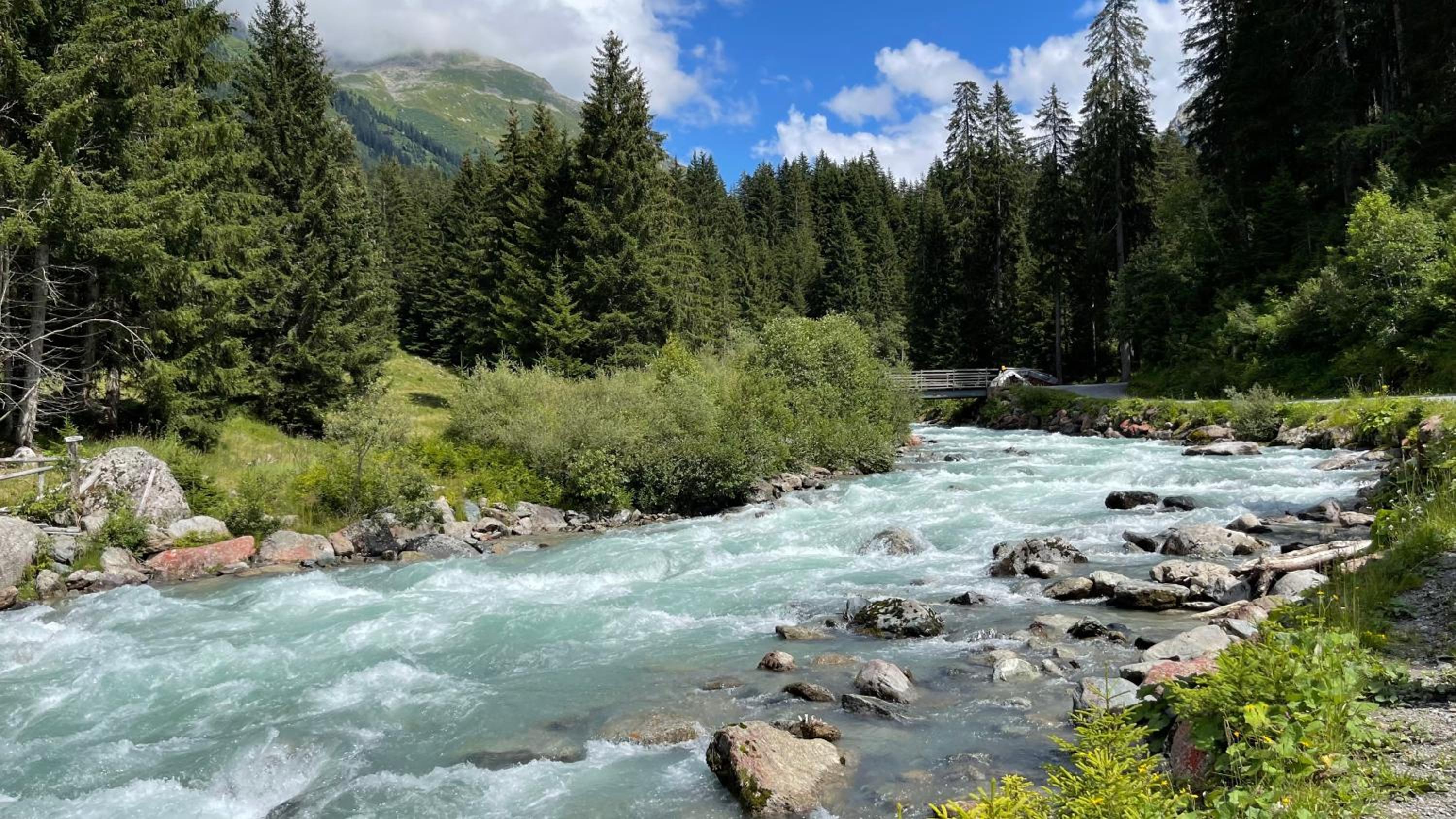 Ferienwohnung mit idyllischer Aussicht