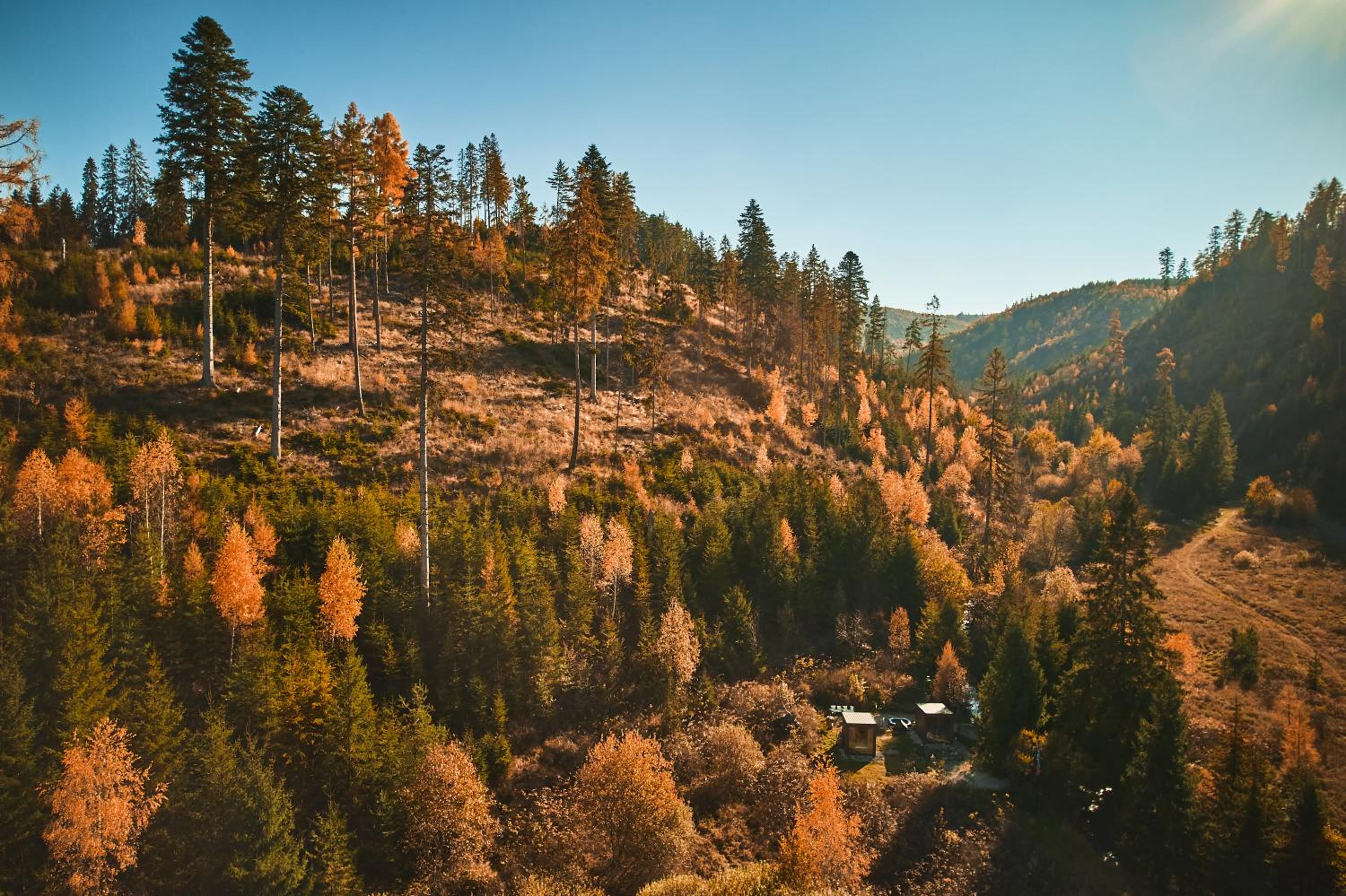 Škandinávske domčeky-lesná sauna a ubytovanie view 3